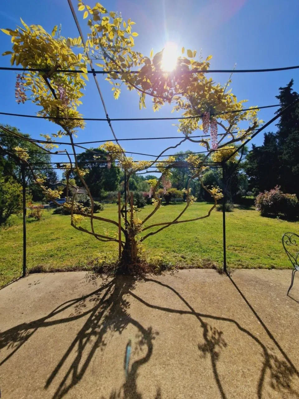 Mas du Rollier Chambres d'hôtes