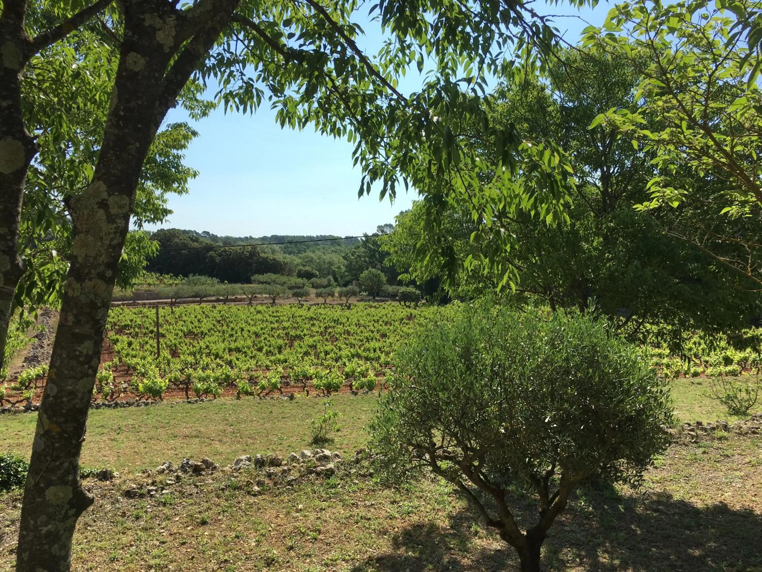 Garden view in L' Esmerand
