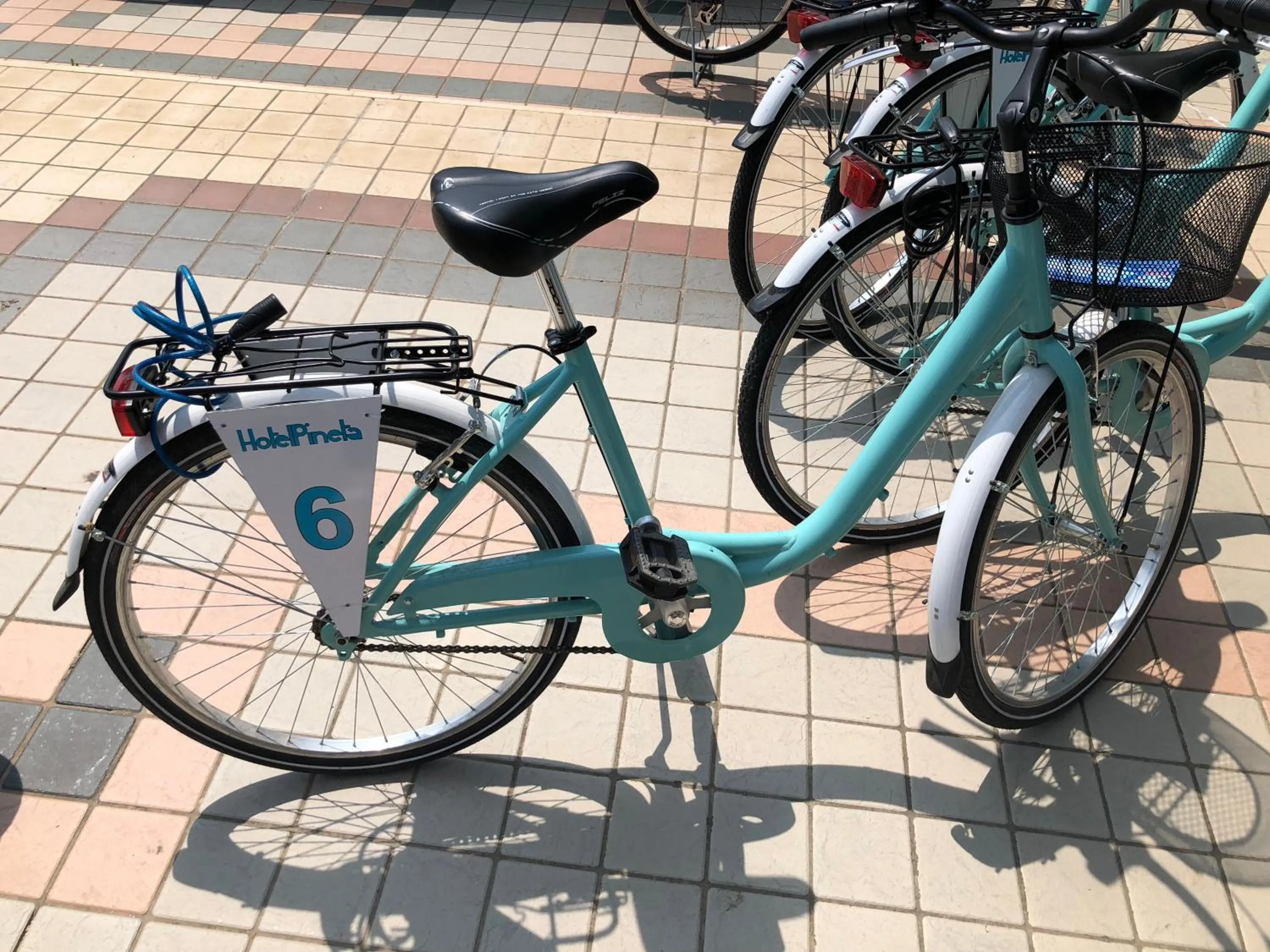 Area and facilities in Hotel Pineta