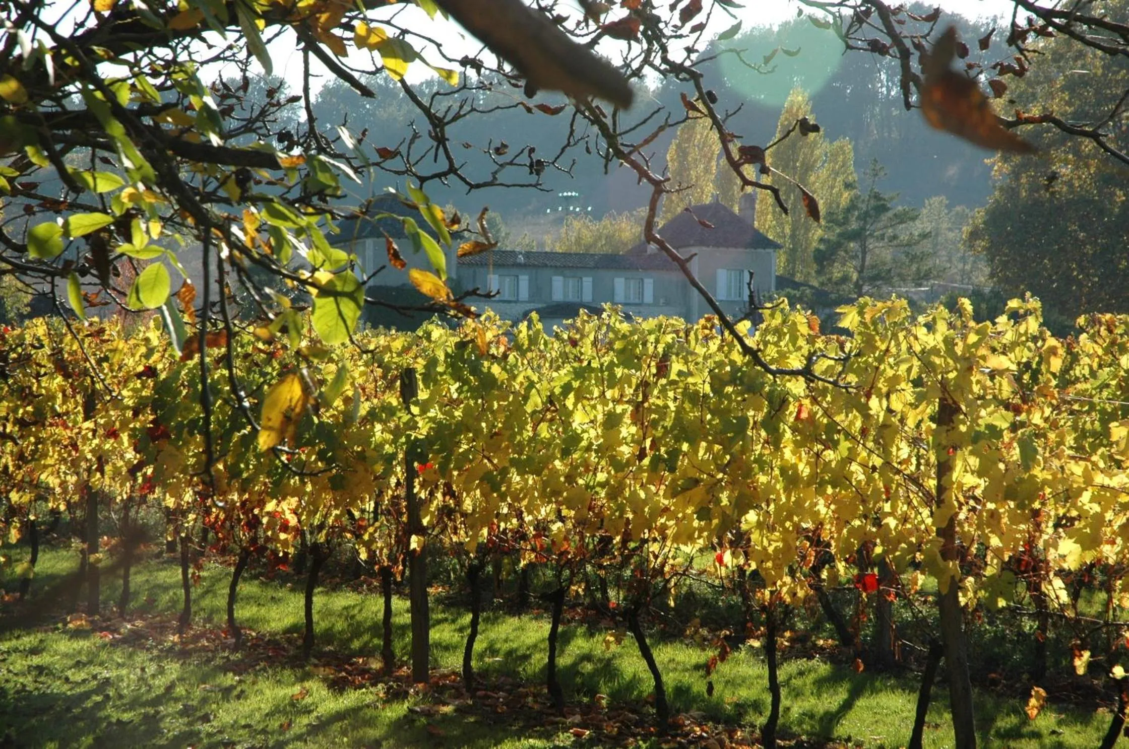 Domaine de la Queyssie