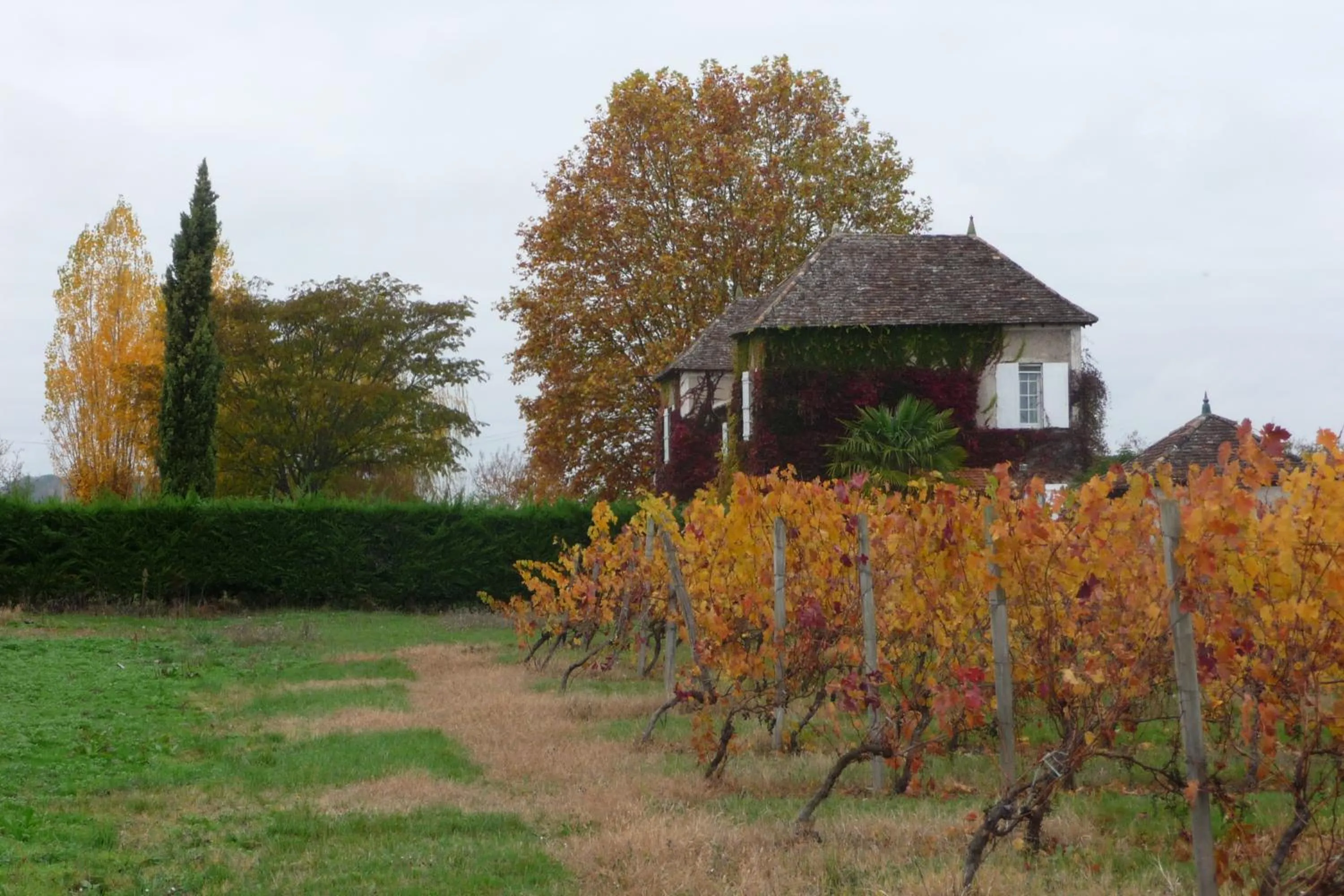 Domaine de la Queyssie