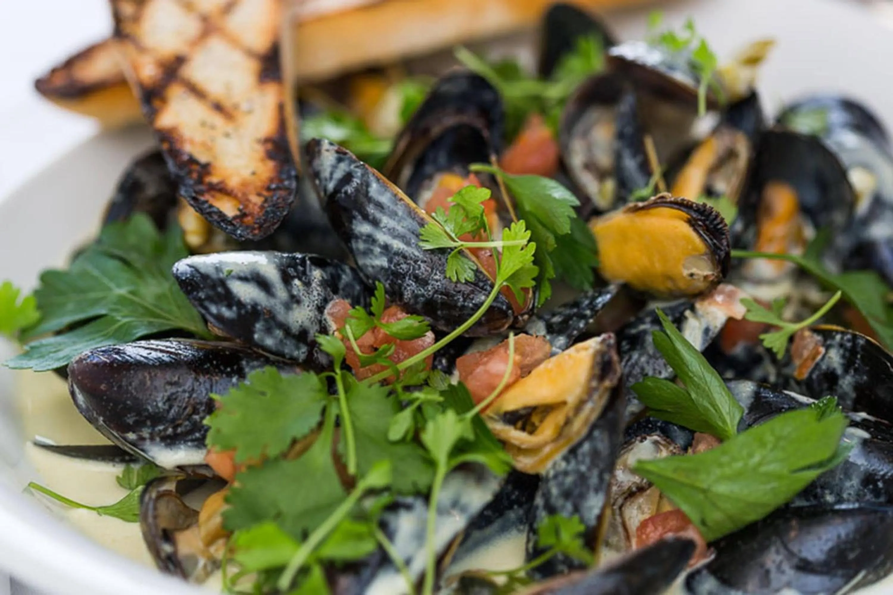 Restaurant/places to eat in Delta Hotels by Marriott Basking Ridge