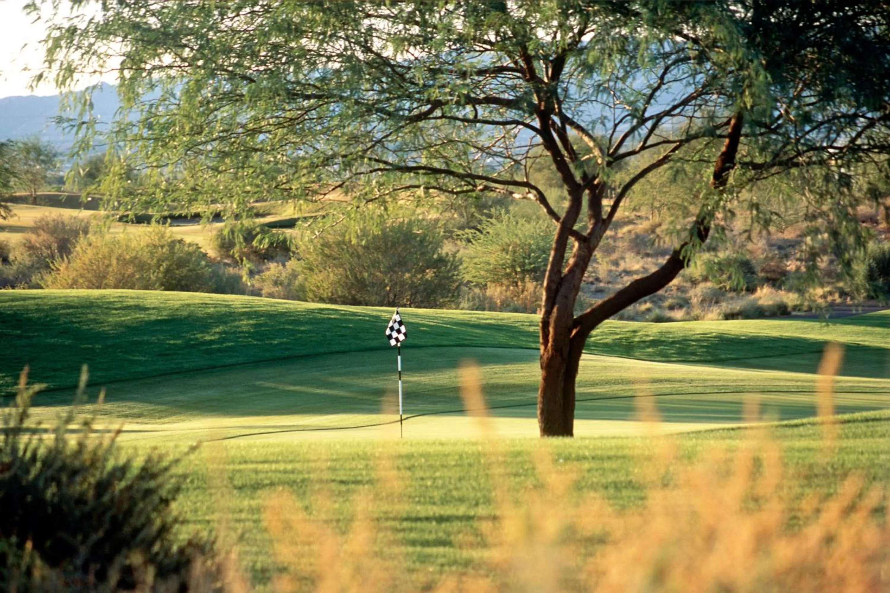 Other in Sheraton Grand at Wild Horse Pass