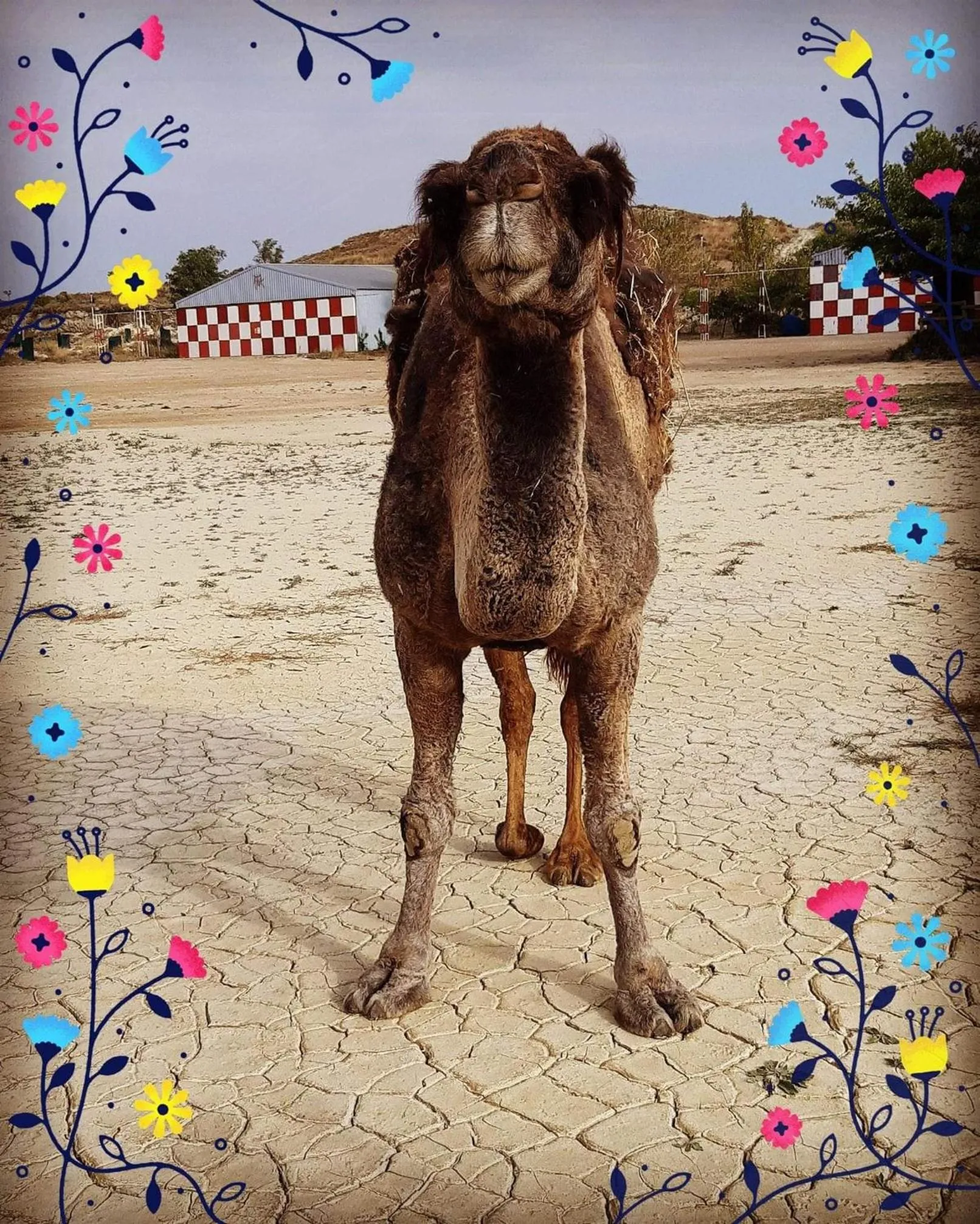 Hotel Cueva Tardienta Monegros-Adults Only