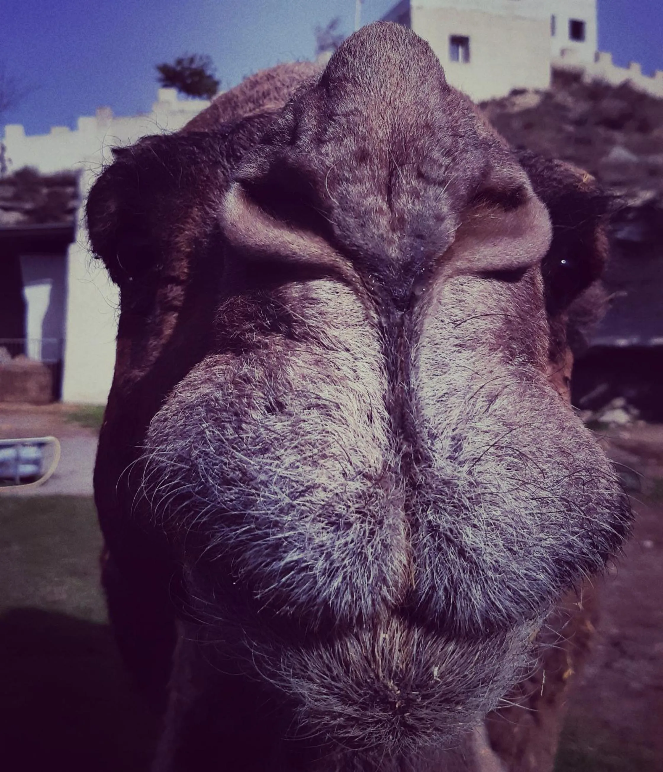 Hotel Cueva Tardienta Monegros-Adults Only