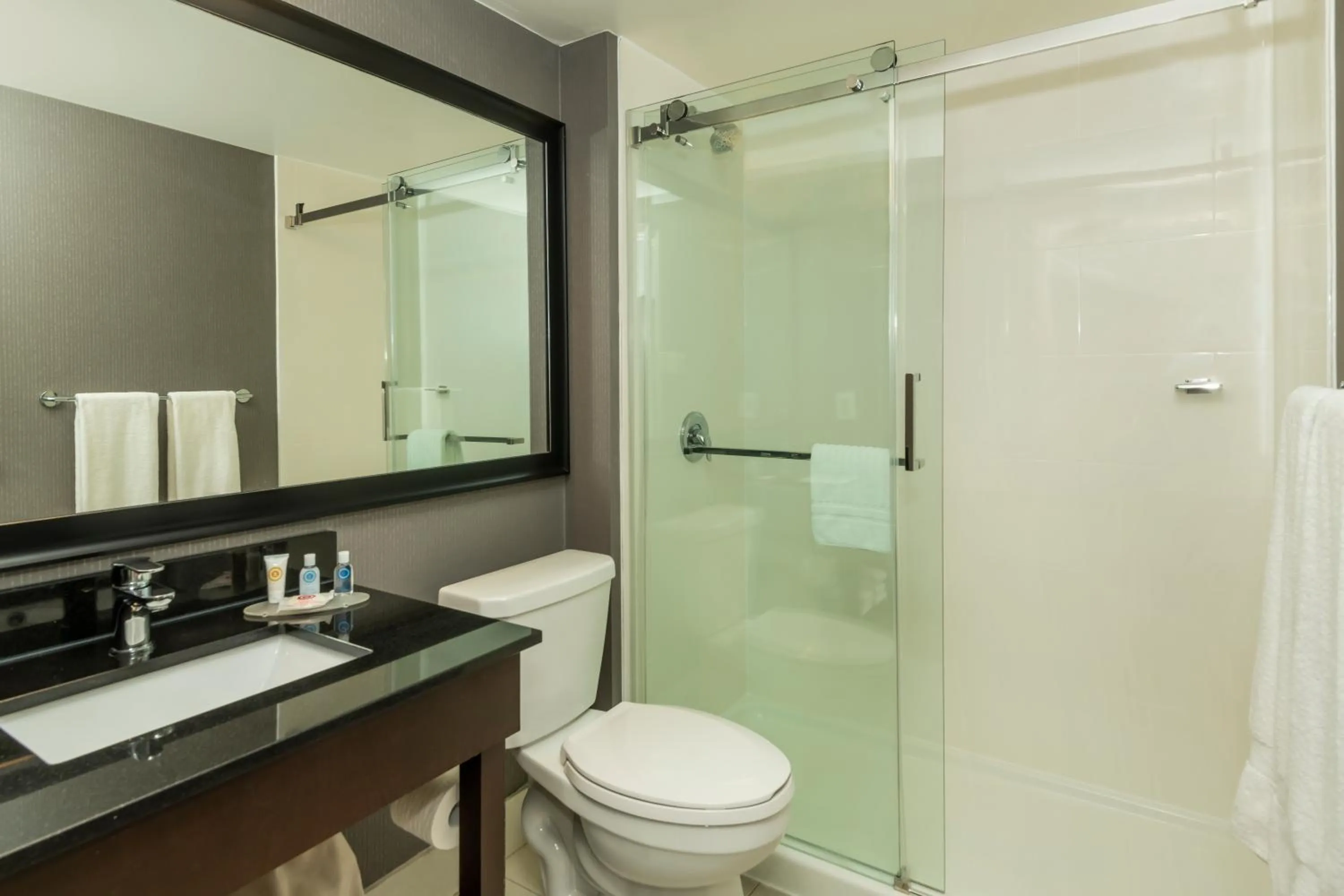 Shower in Comfort Inn West