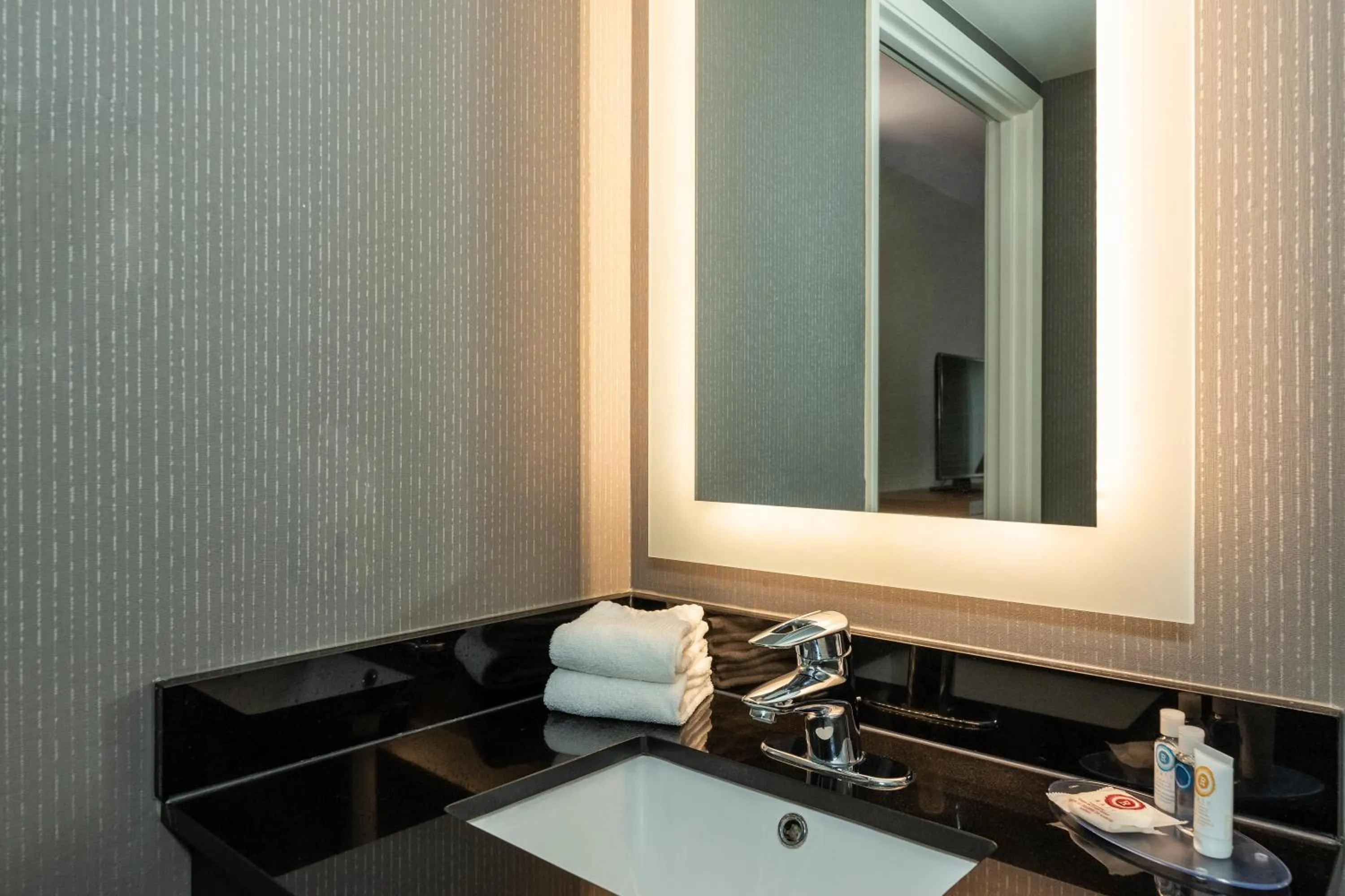 Shower in Comfort Inn West