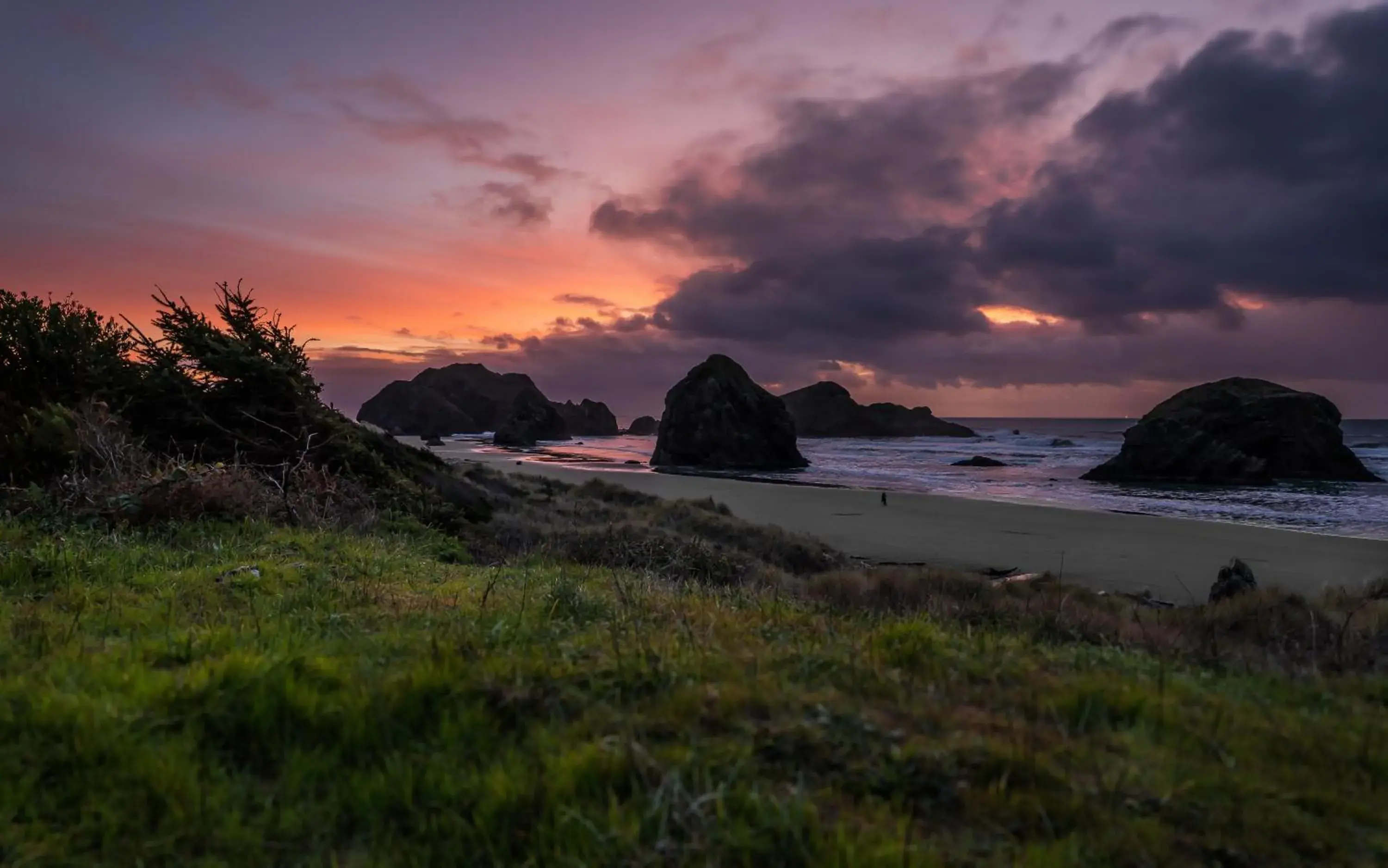 Natural landscape in Gold Beach Inn Natural landscape in Gold Beach Inn
