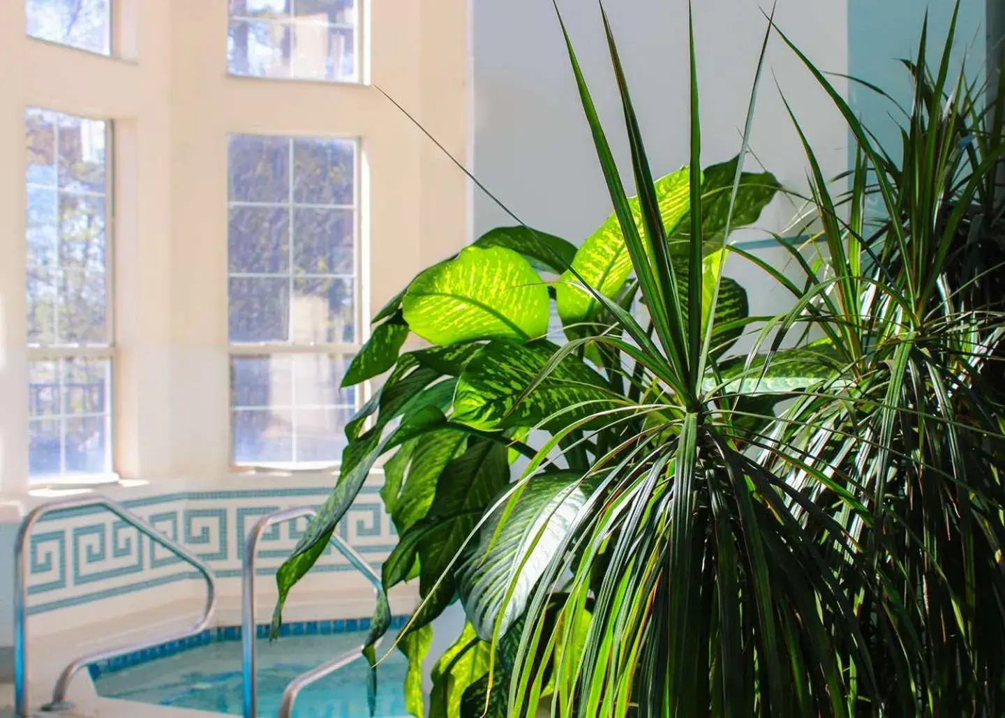Spa and wellness centre/facilities in Senator Inn & Spa Spa and wellness centre/facilities in Senator Inn & Spa