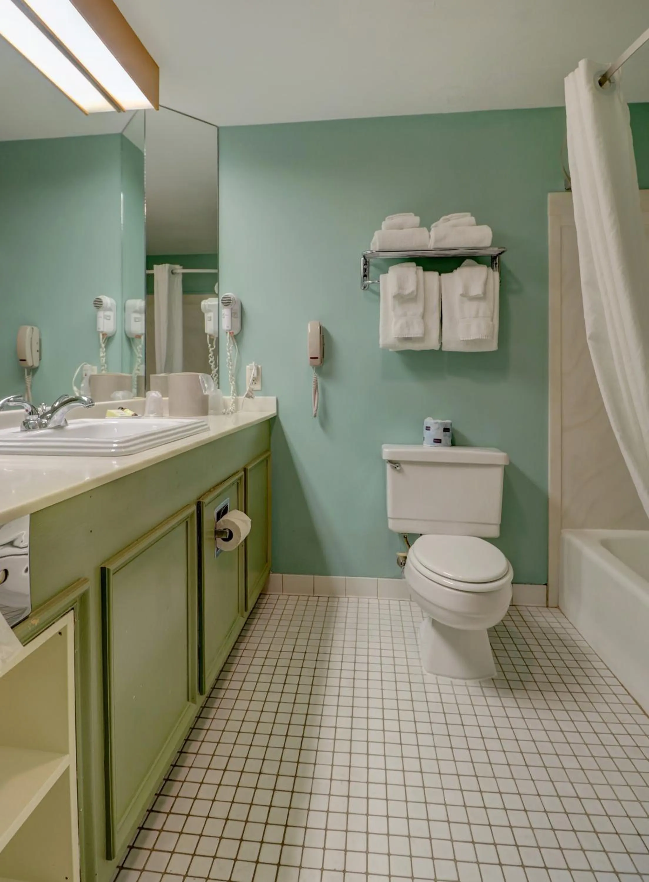 Bathroom in Senator Inn & Spa