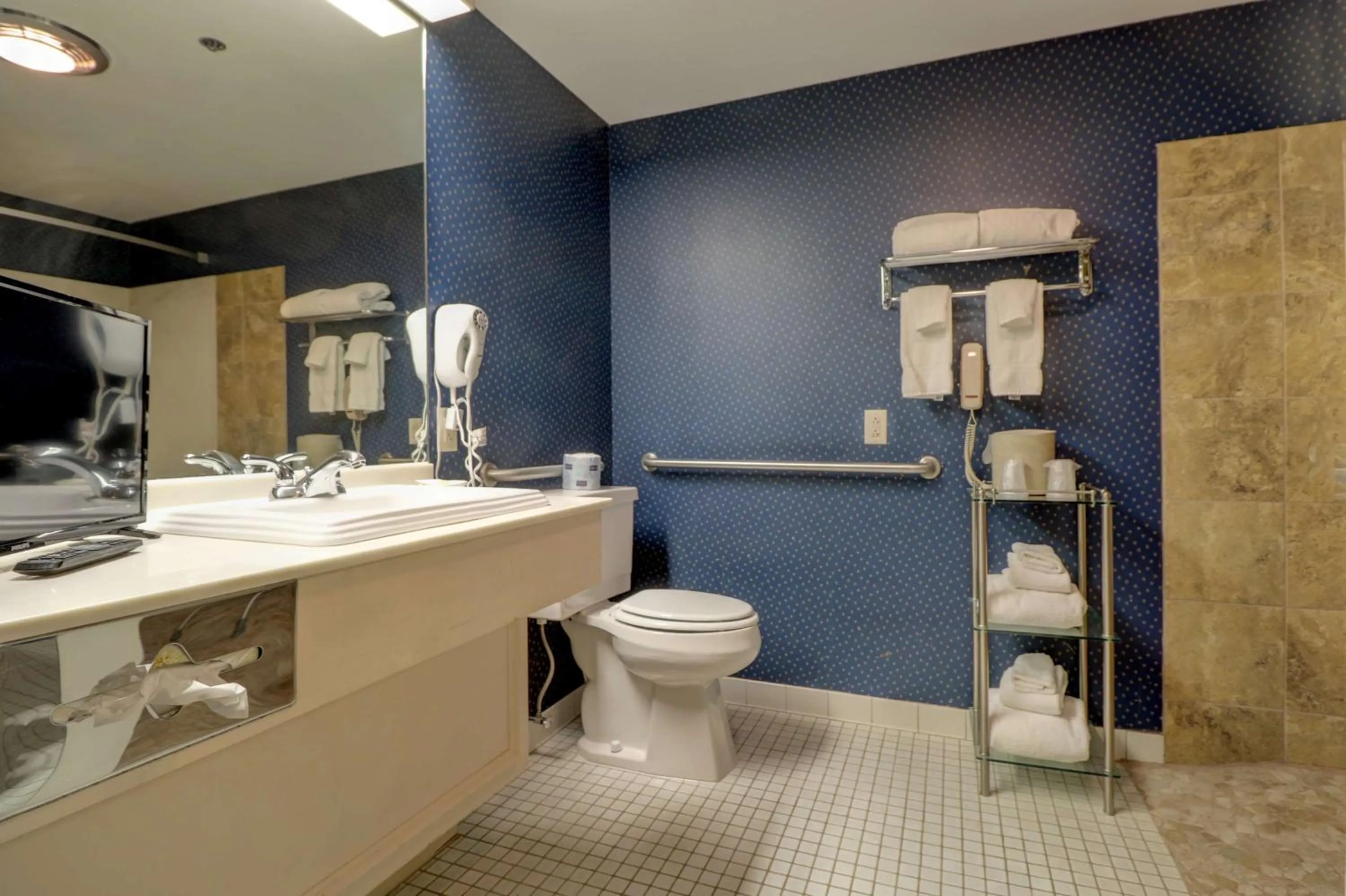 Bathroom in Senator Inn & Spa
