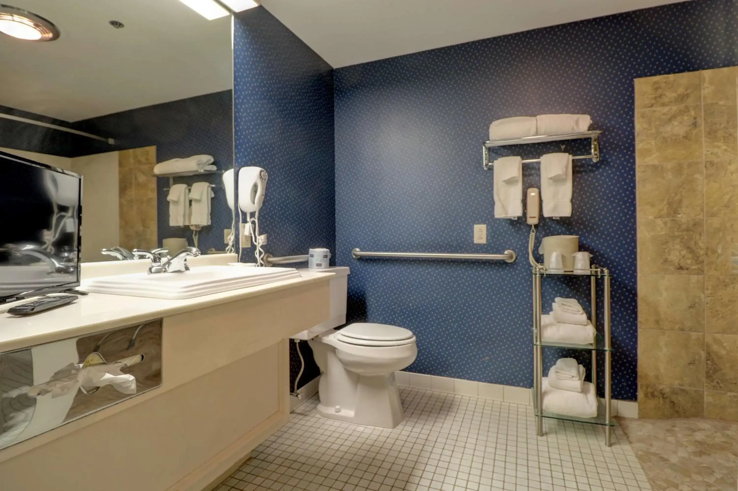 Bathroom in Senator Inn & Spa Bathroom in Senator Inn & Spa