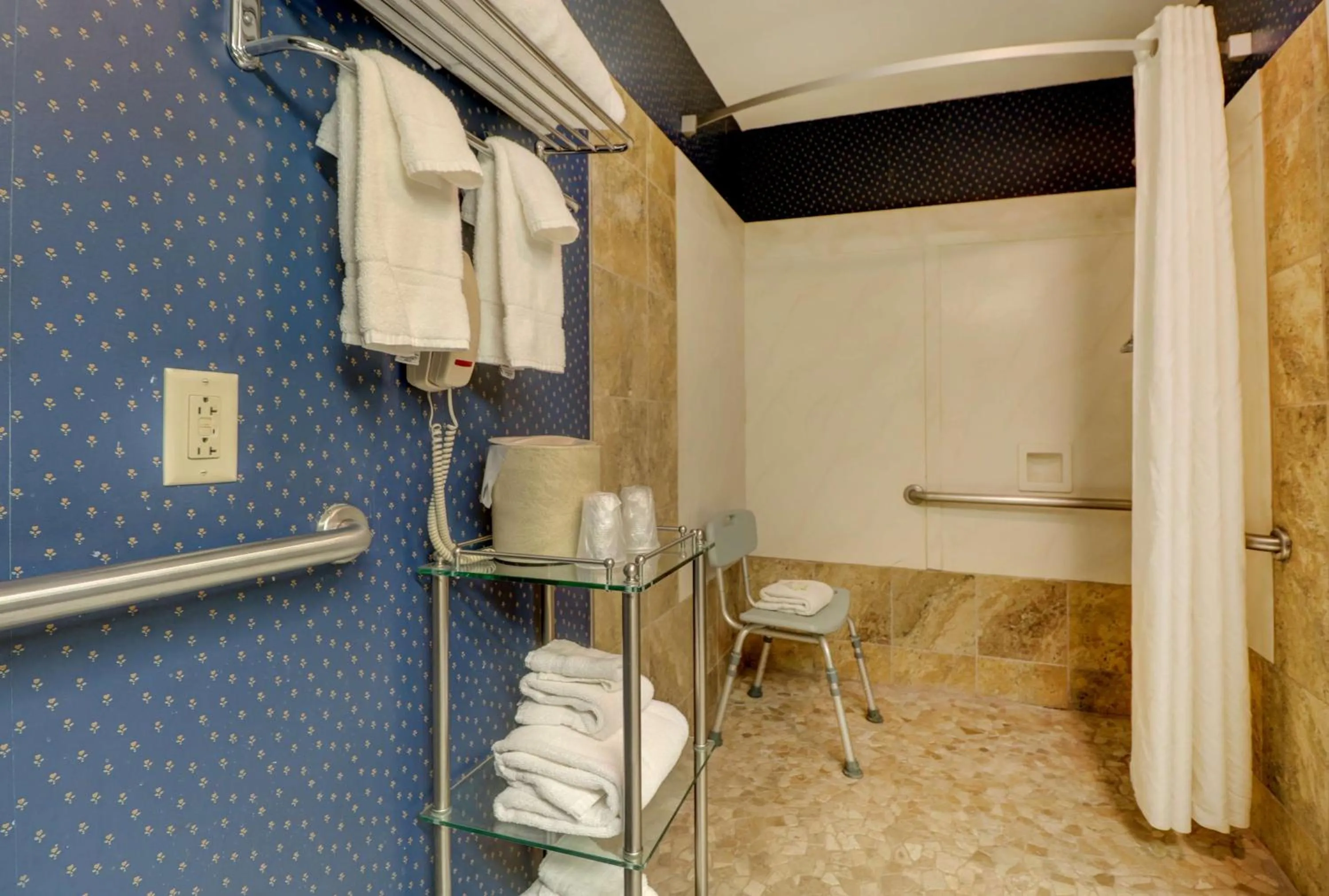 Bathroom in Senator Inn & Spa