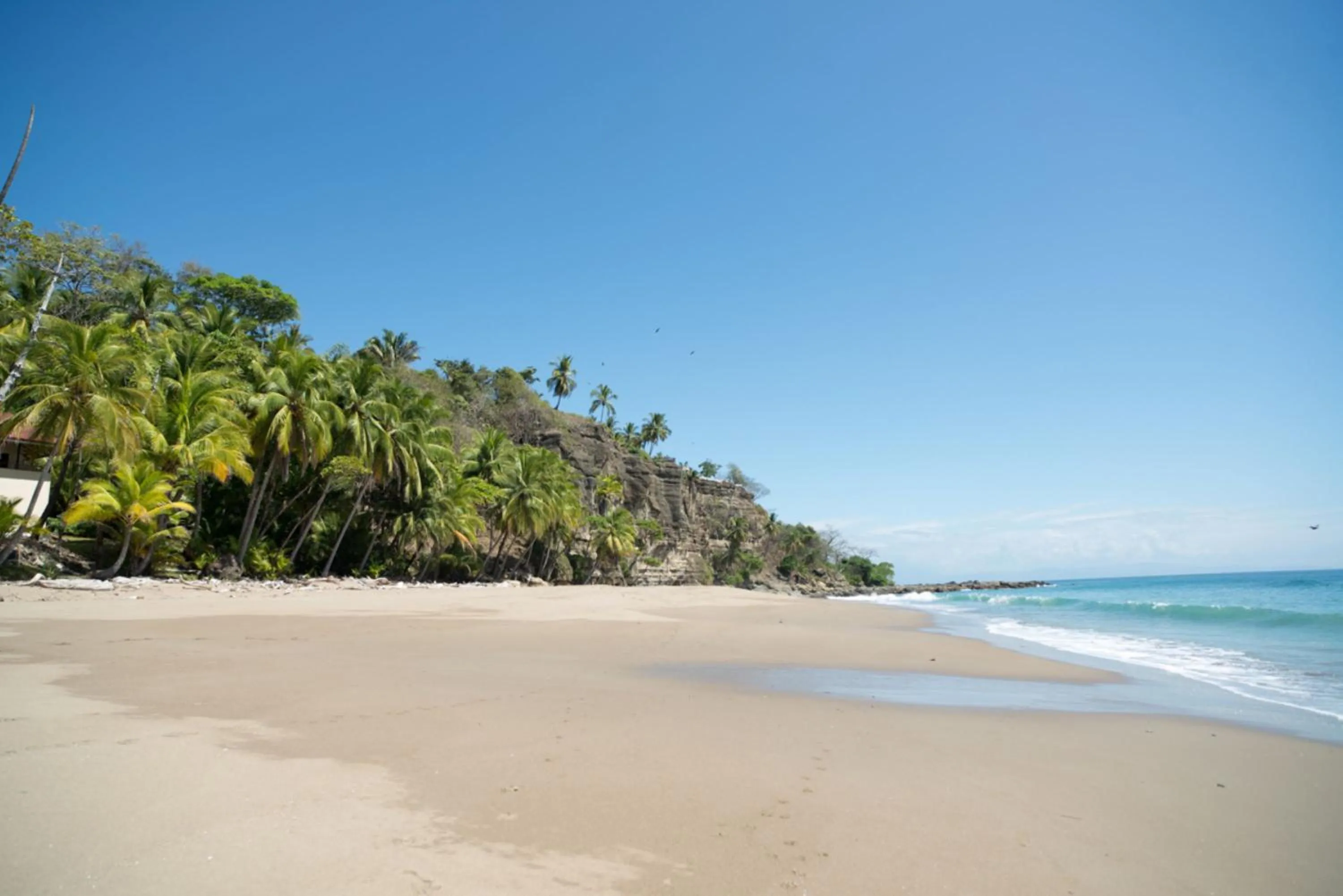 Beach in Tango Mar Beachfront Boutique Hotel & Villas