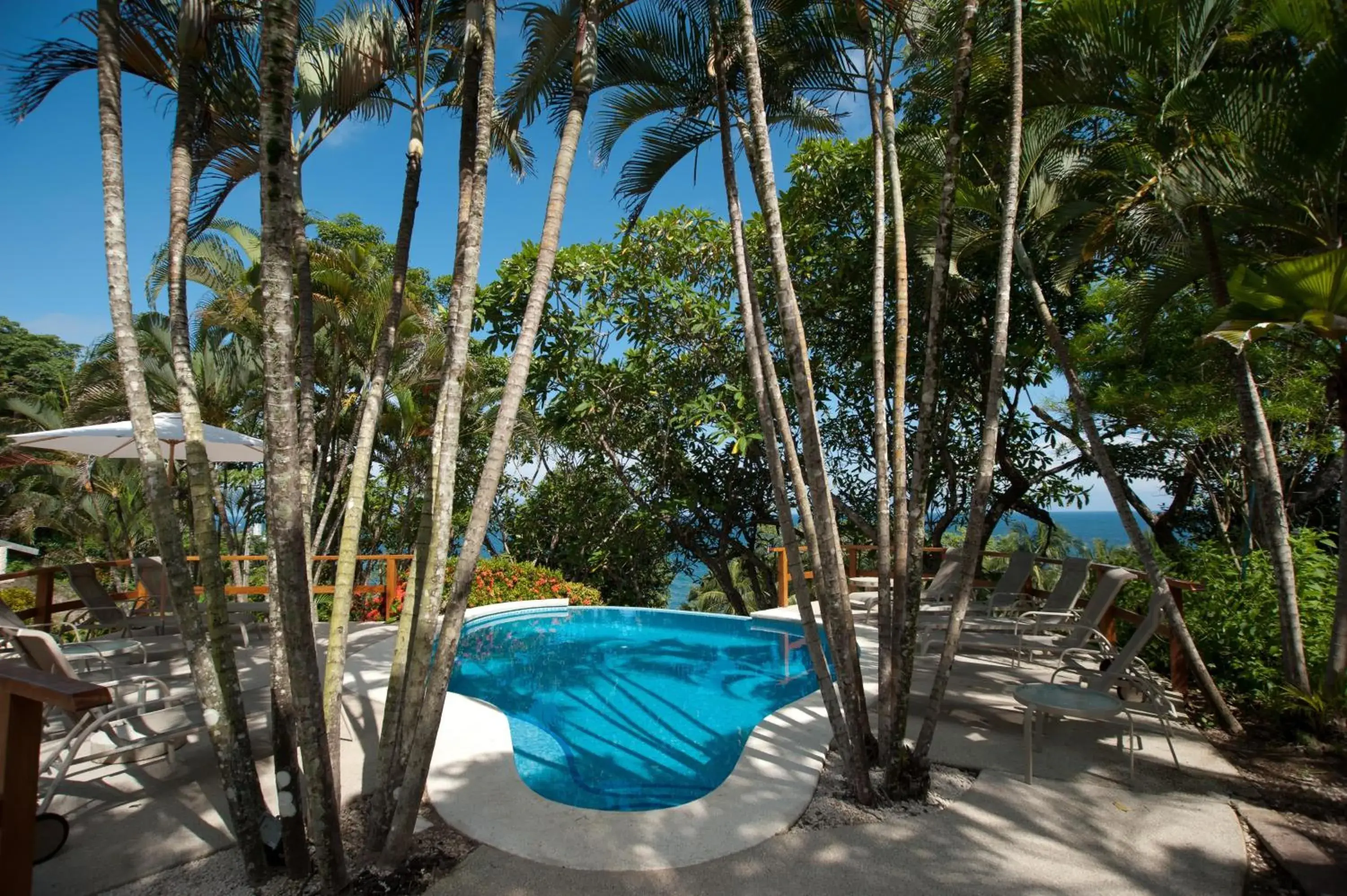 Swimming pool in Tango Mar Beachfront Boutique Hotel & Villas Swimming pool in Tango Mar Beachfront Boutique Hotel & Villas