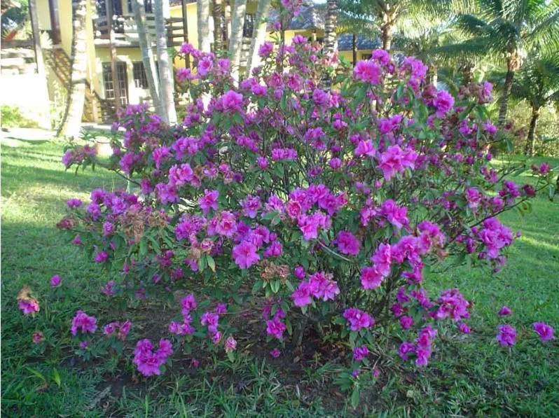 Pousada Lagoa da Mata