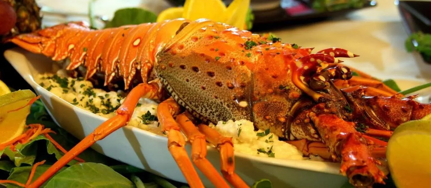 Pousada Lagoa da Mata