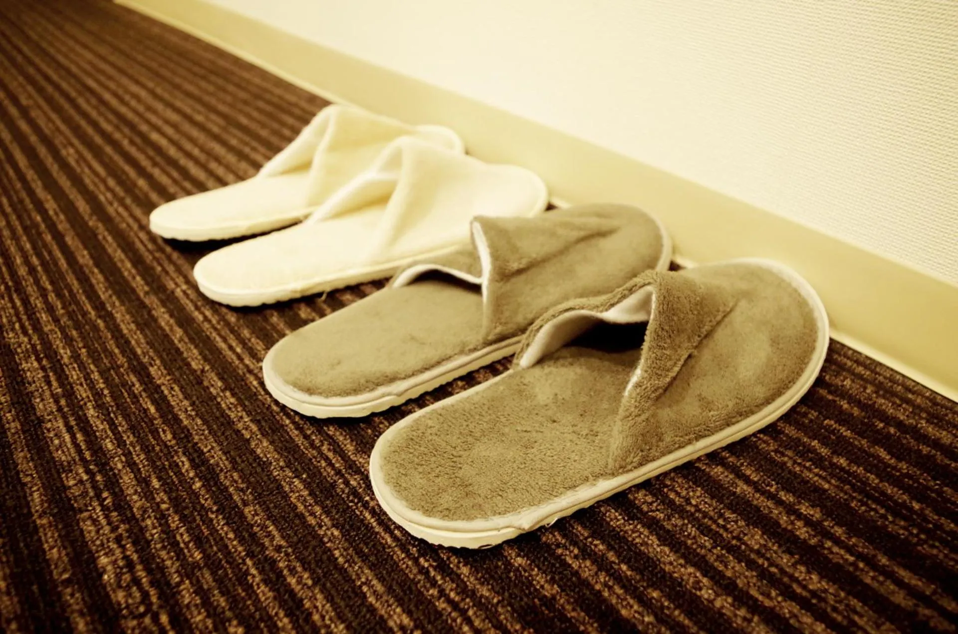 Area and facilities in Hotel Cocoro Inn Asakusa Kuramae