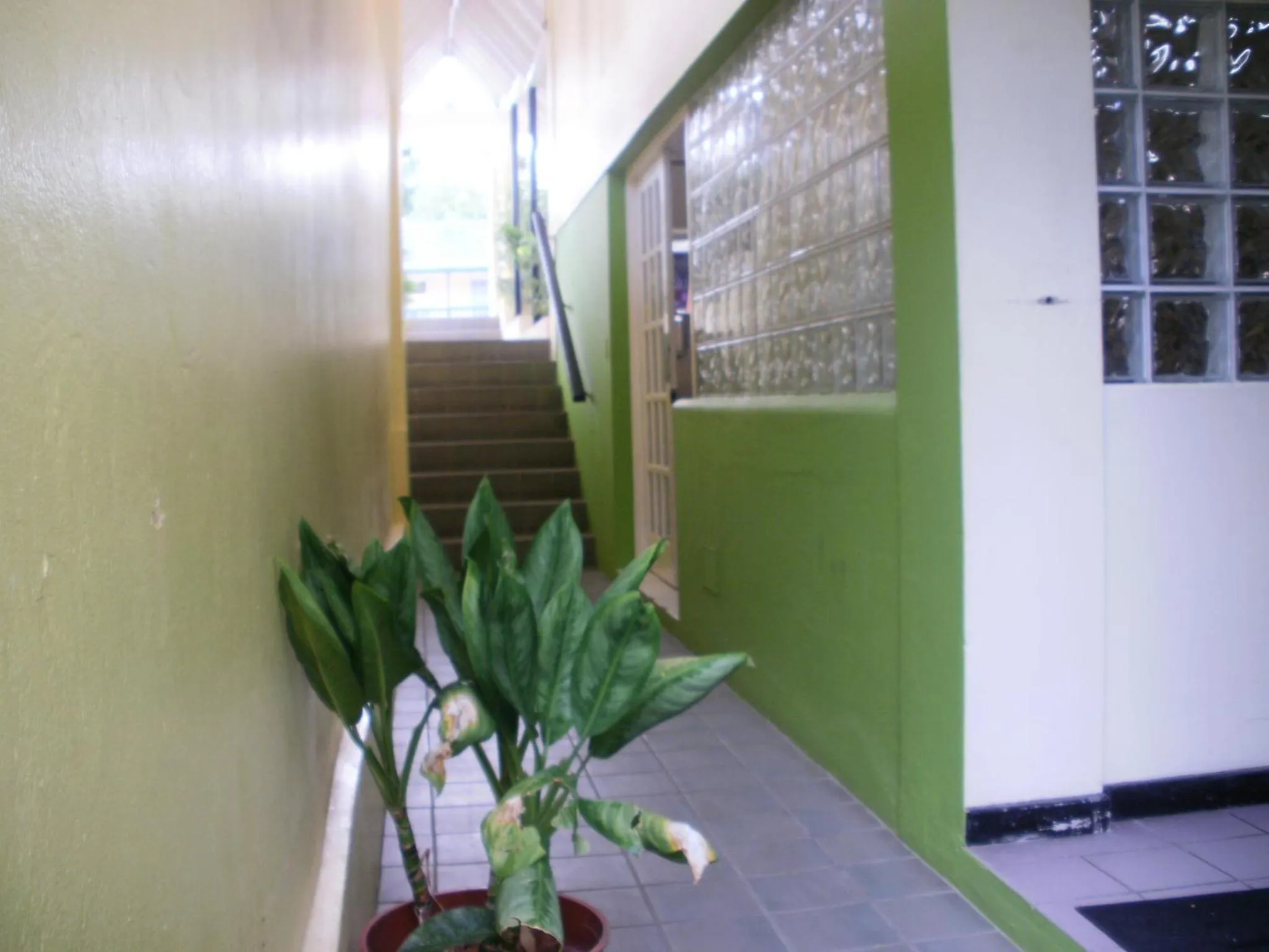 Other in Pineapple Court Hotel