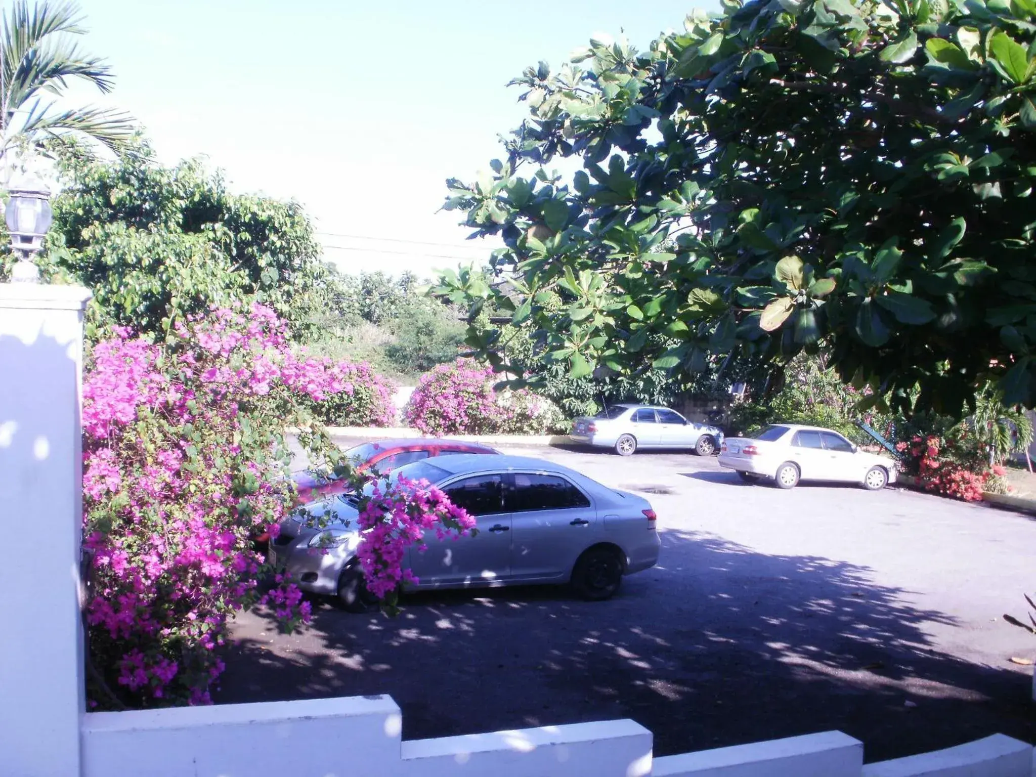 Facade/entrance in Pineapple Court Hotel Facade/entrance in Pineapple Court Hotel