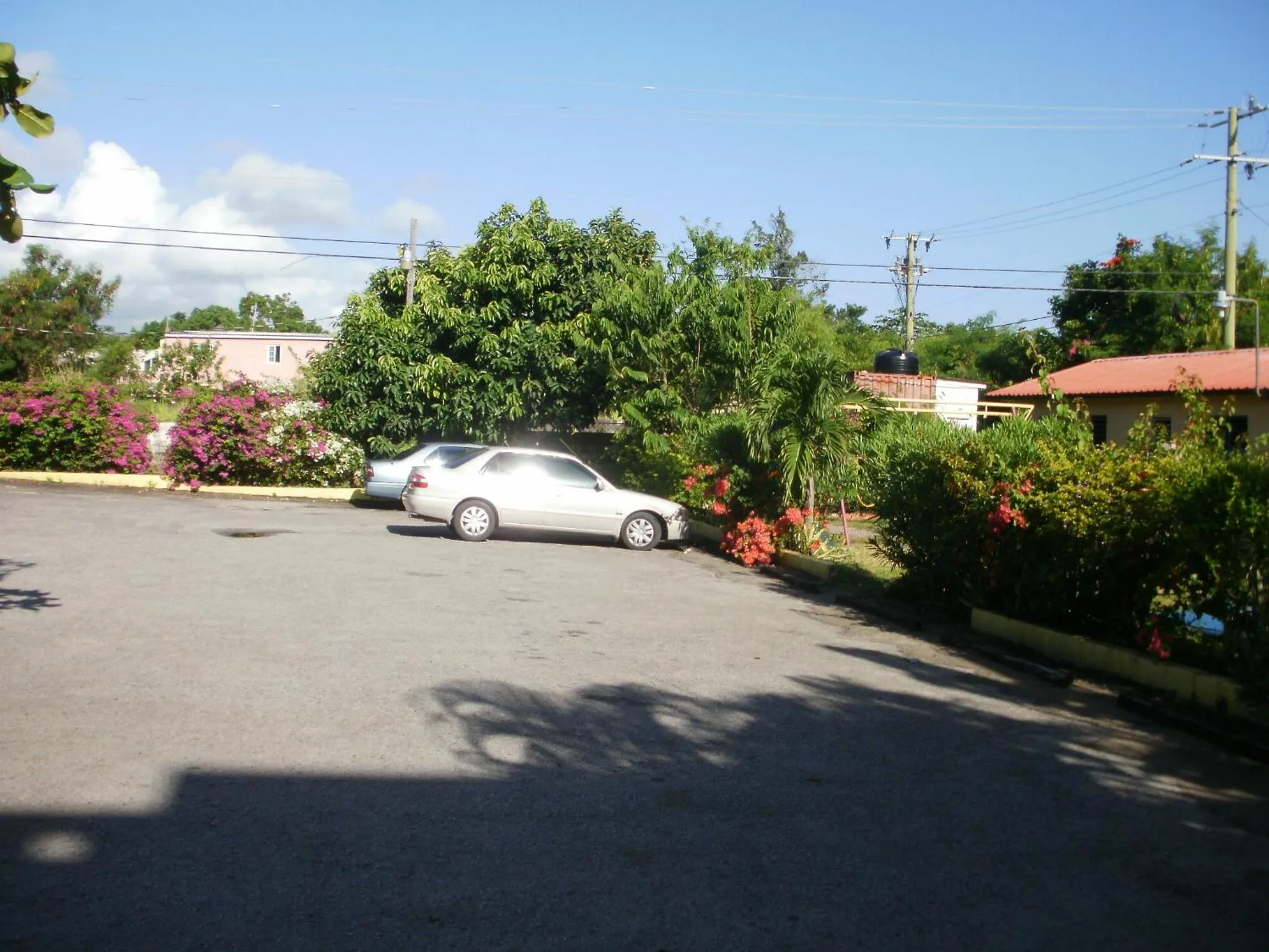 View (from property/room) in Pineapple Court Hotel