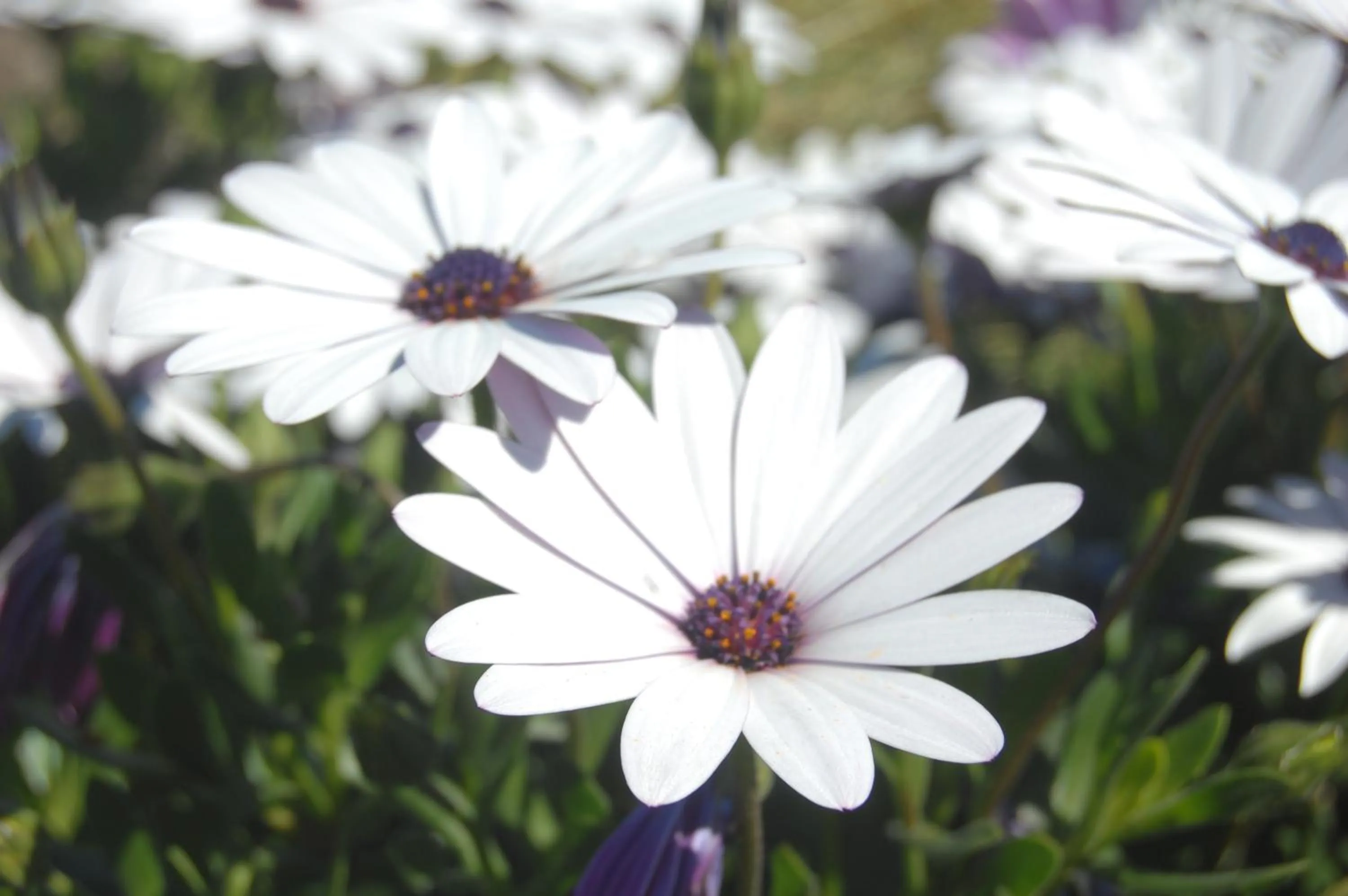 Property building in Gateway Motor Lodge - Wanganui