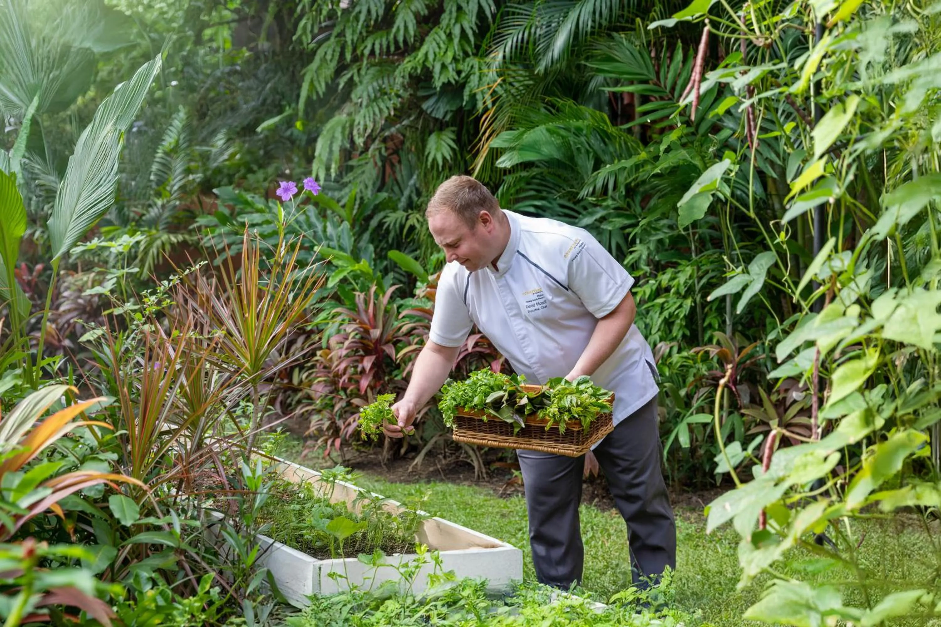 Garden in Courtyard by Marriott Phuket, Patong Beach Resort