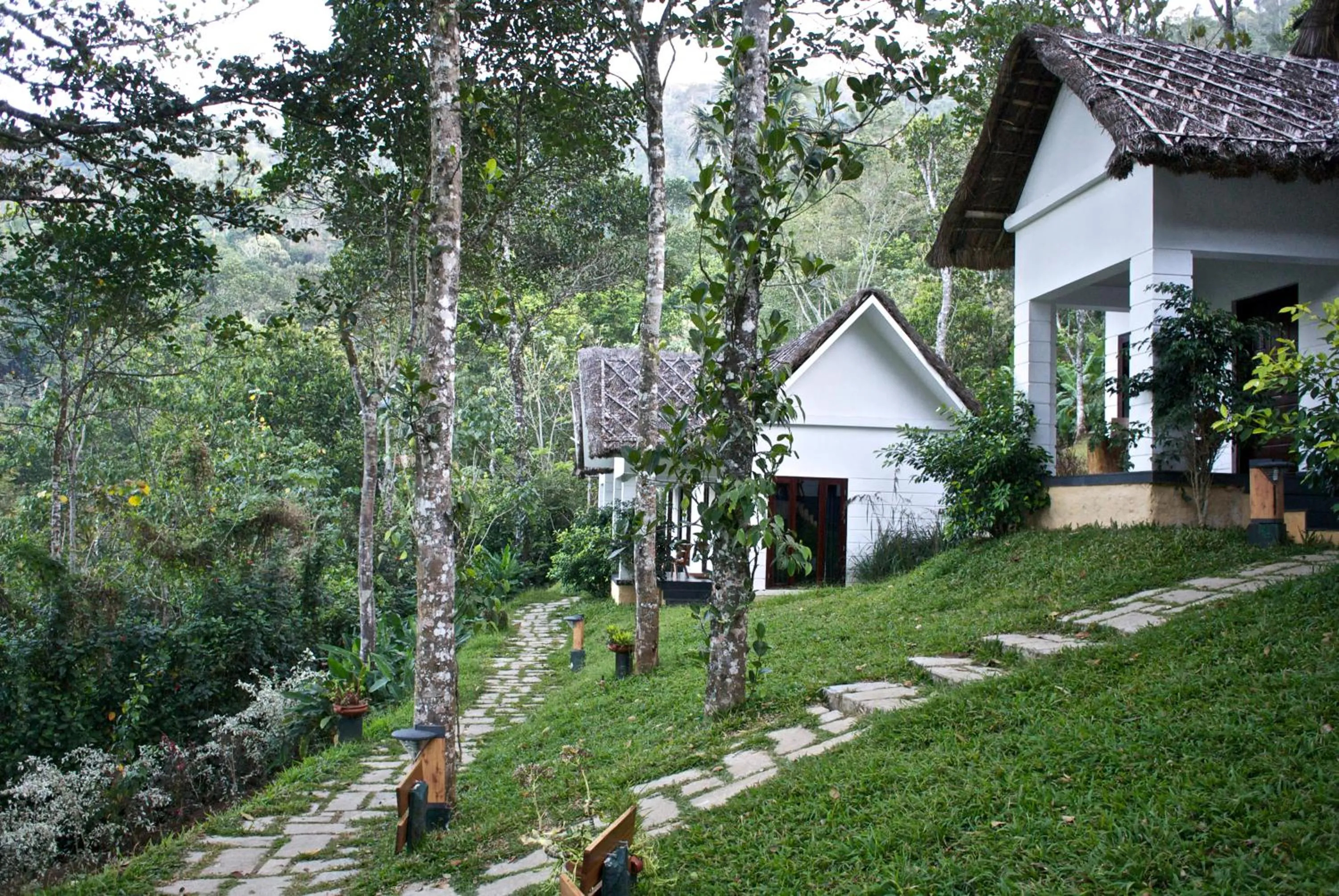 Garden in Niraamaya Retreats Cardamom Club