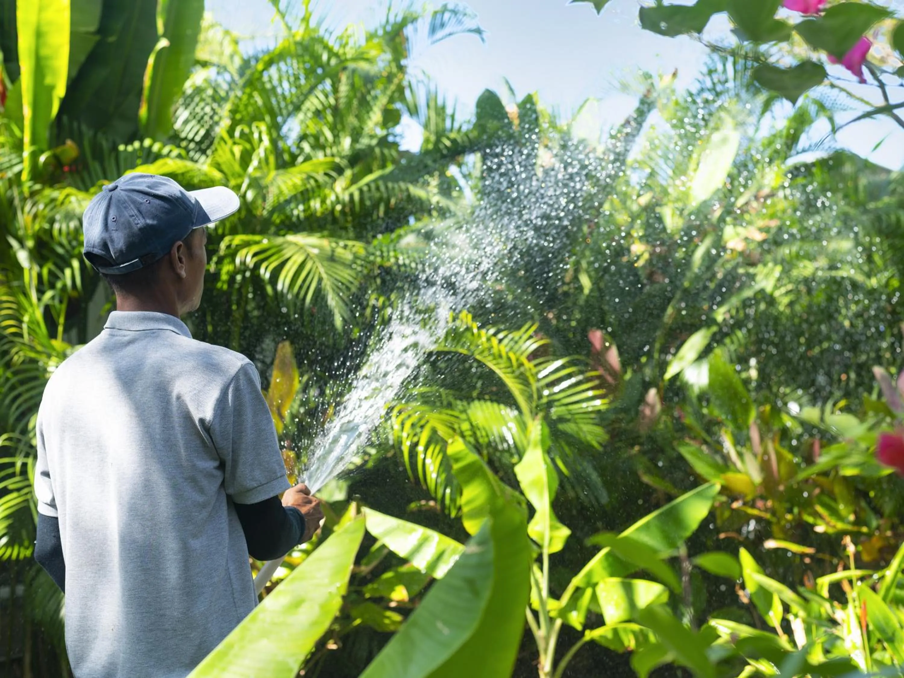 Garden in Explorar Koh Phangan - Adults Only Resort and Spa