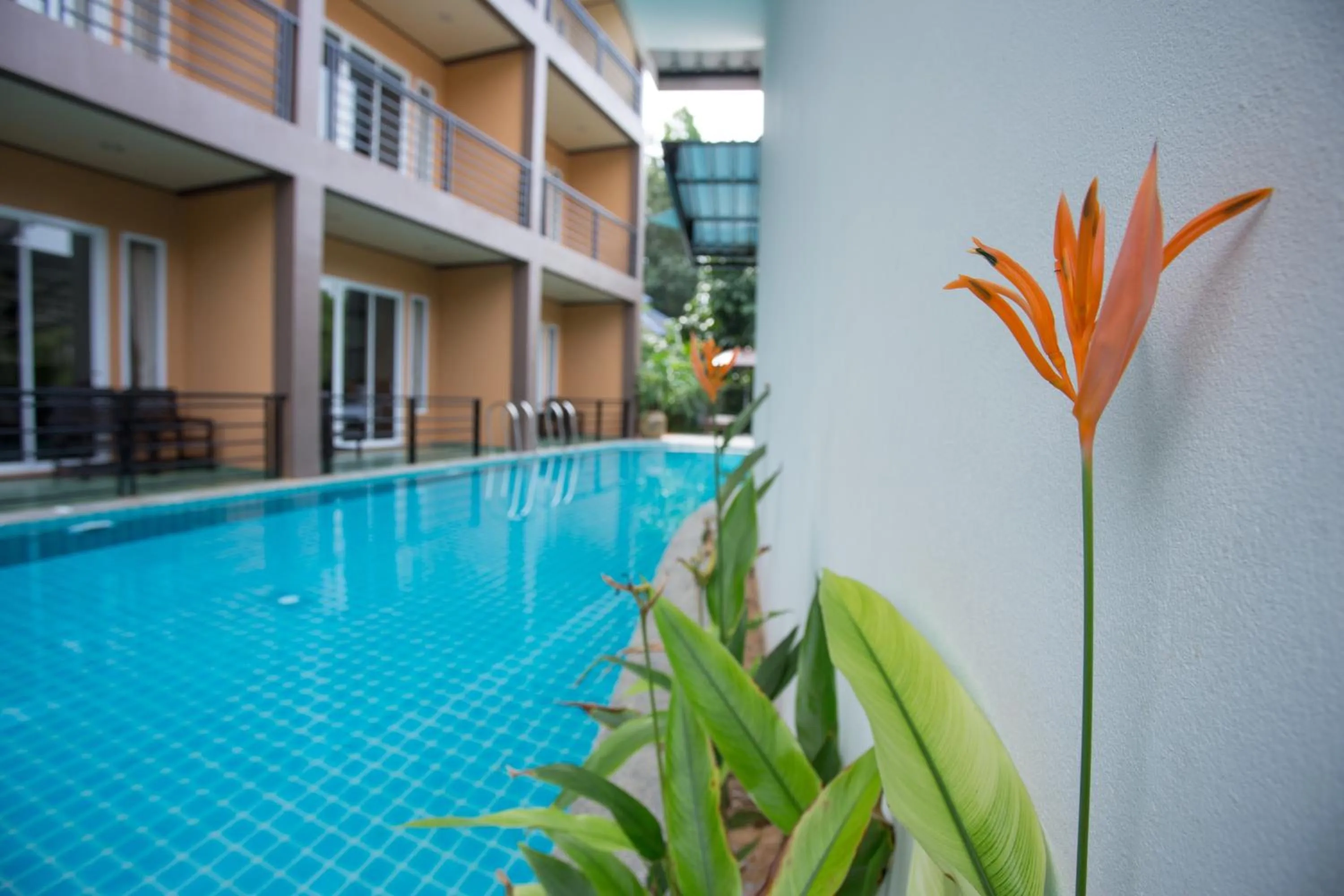 Property building in Khaolak Suthawan Resort - SHA Plus