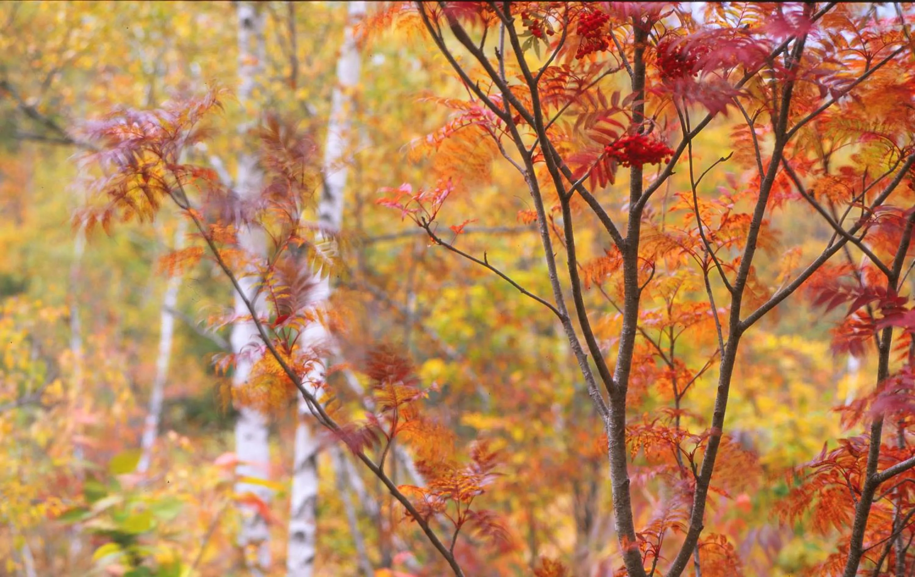 Off site in Tabist Kazeyuki