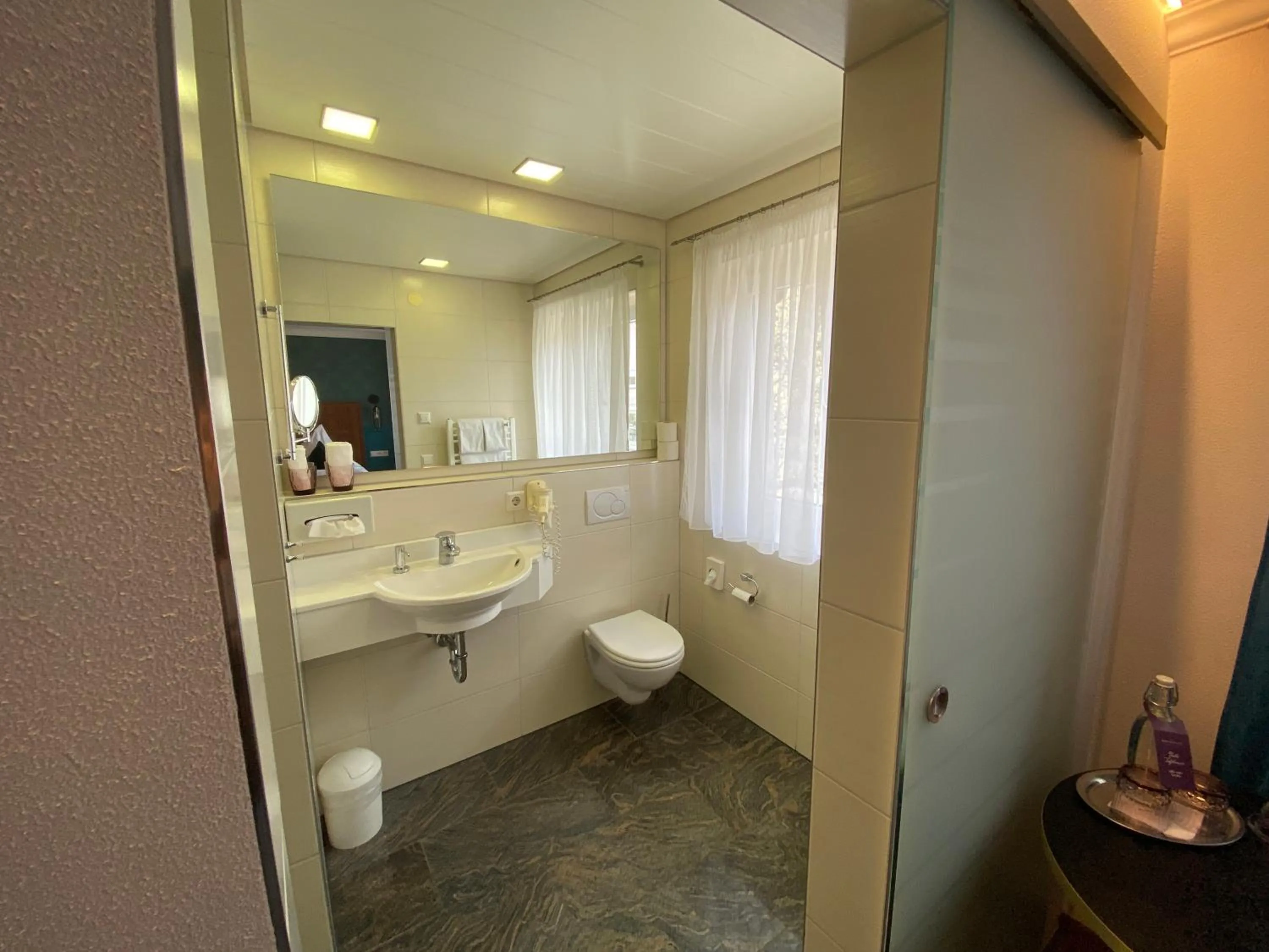 Toilet in Boutique - Hotel Zum Schloss