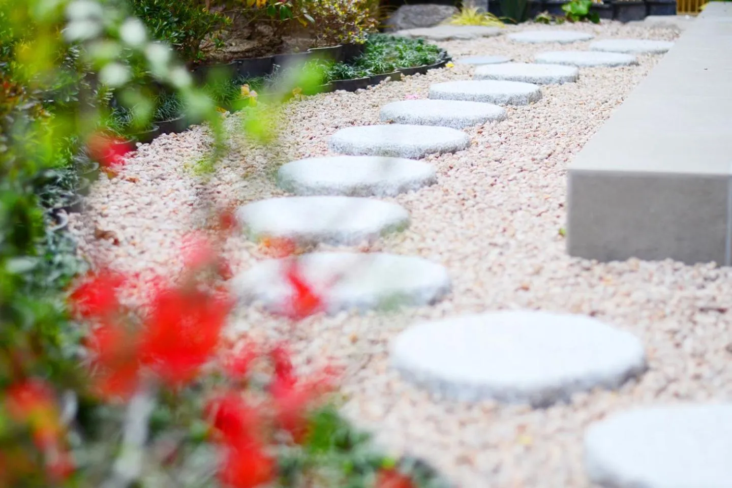 Spring in BEPPU HOSTEL U&T