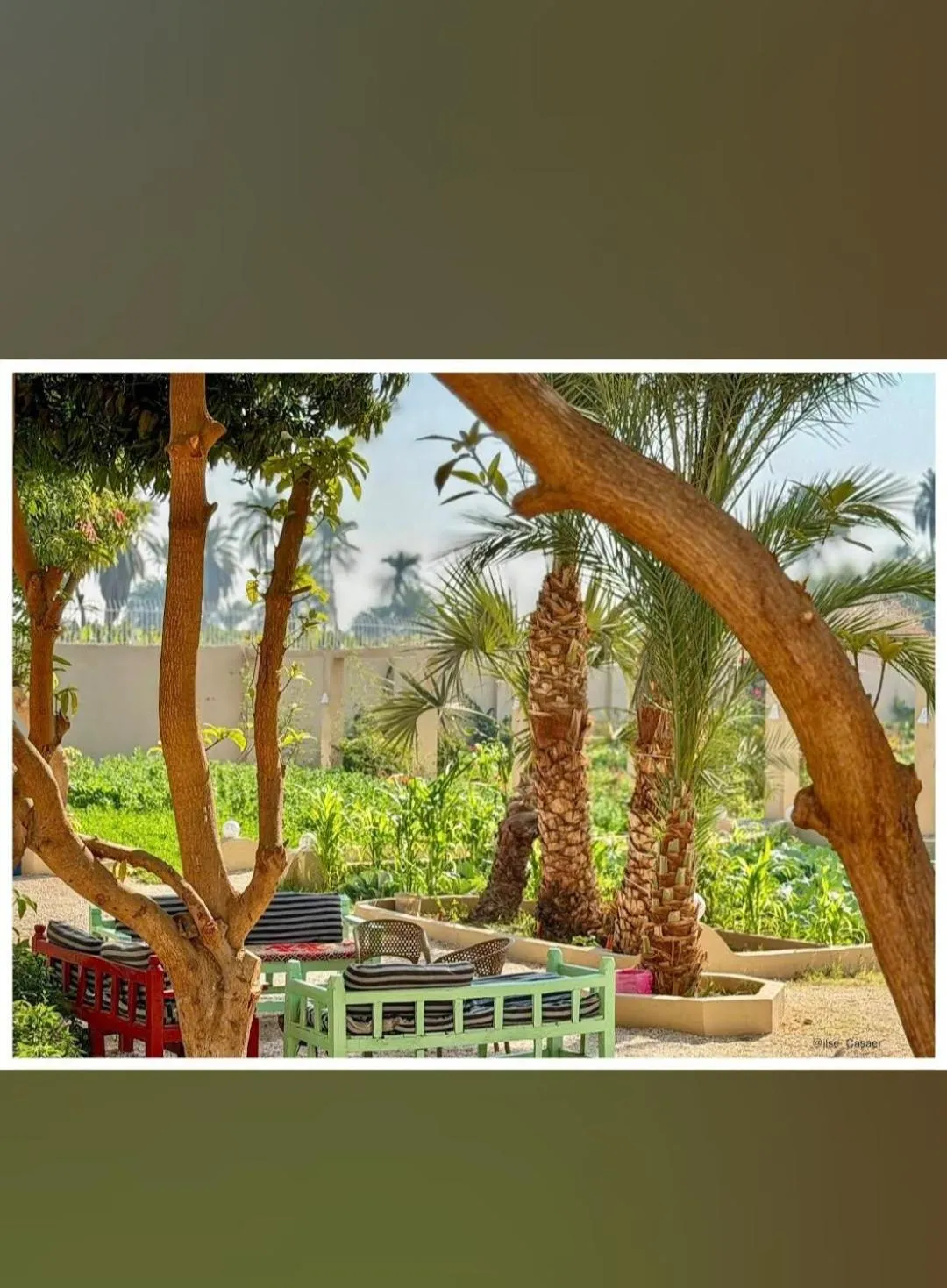 Garden in Leyla Eco Resort Queen Suites