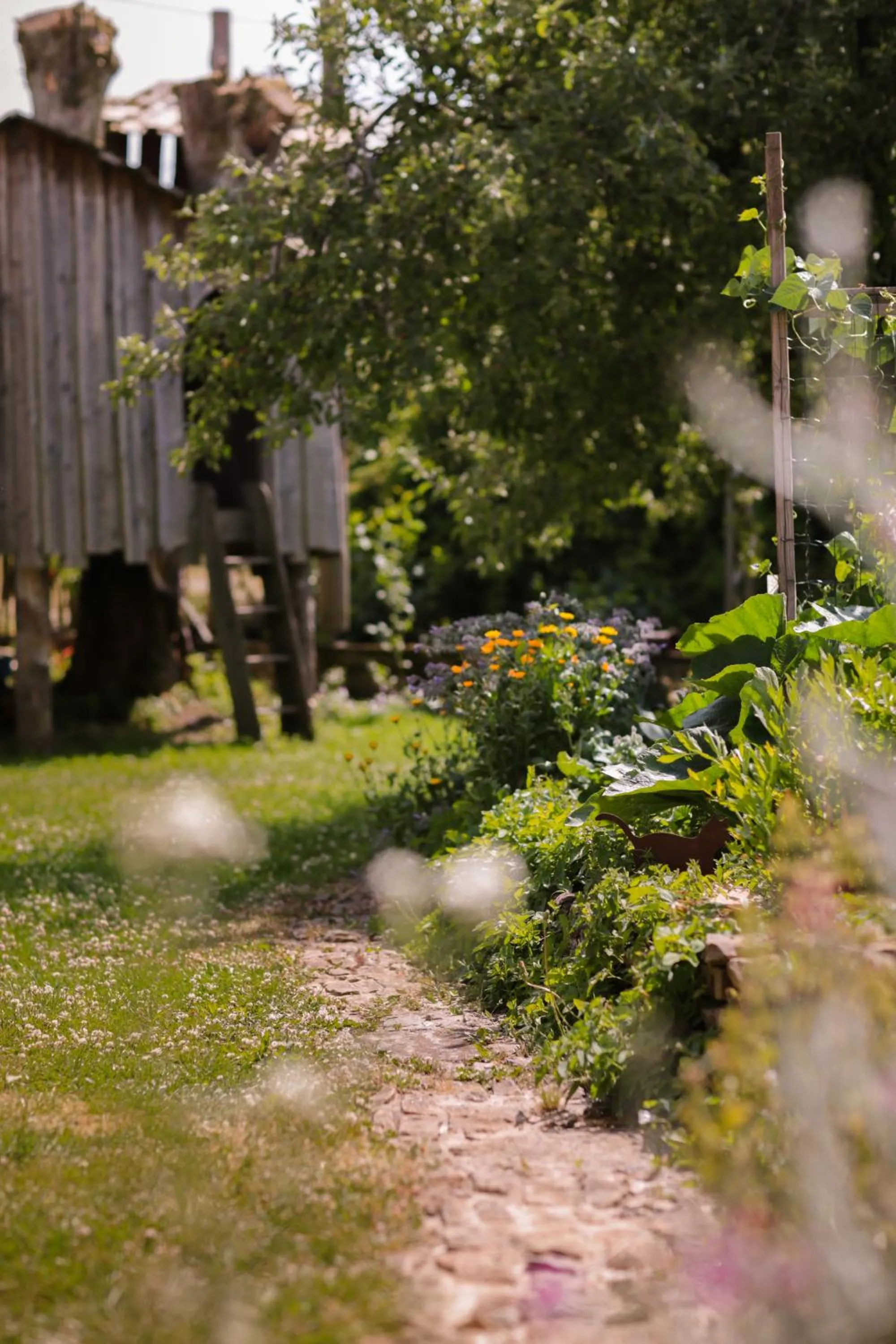Garden in Les Chambres du Chat