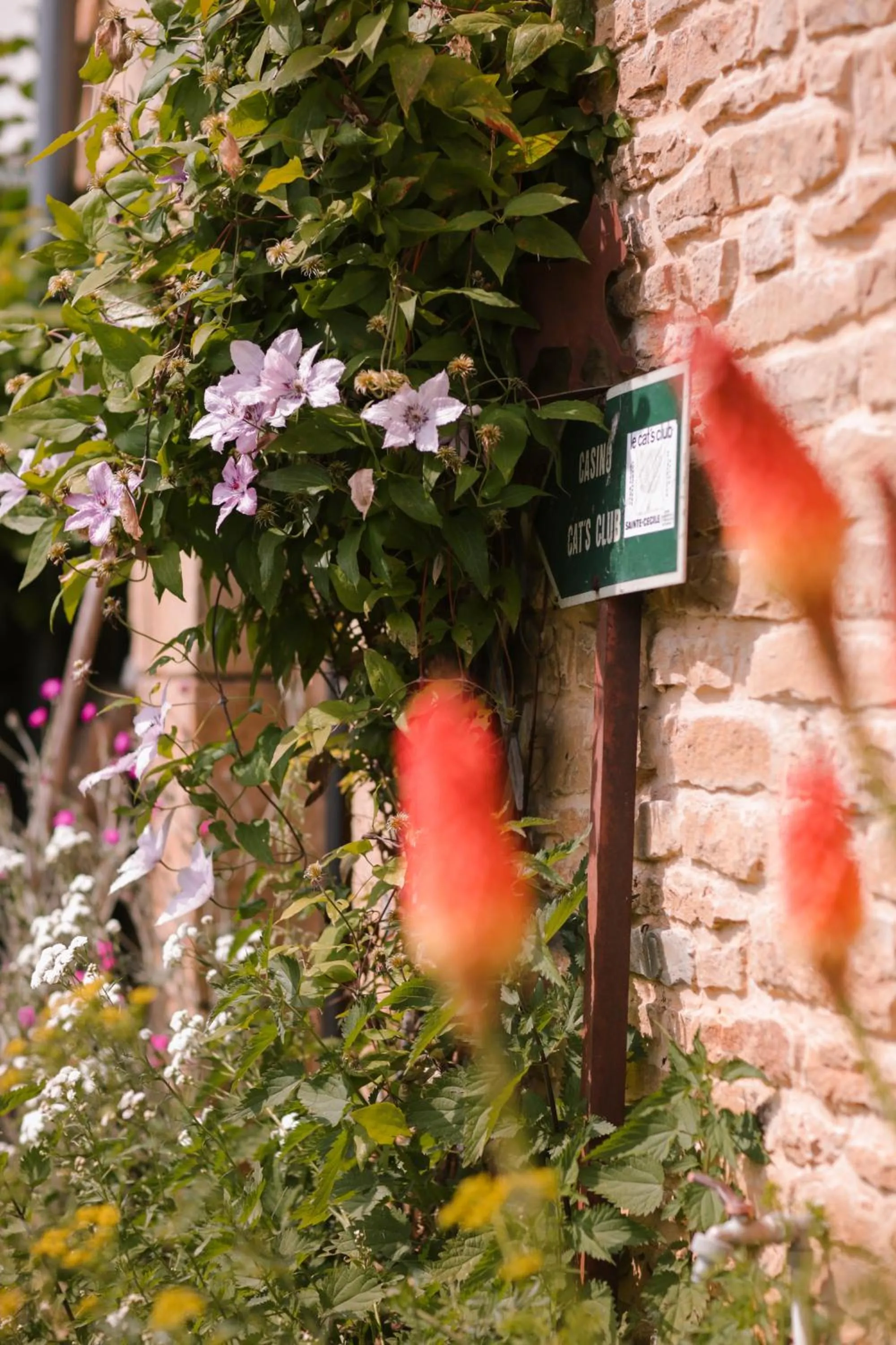 Facade/entrance in Les Chambres du Chat