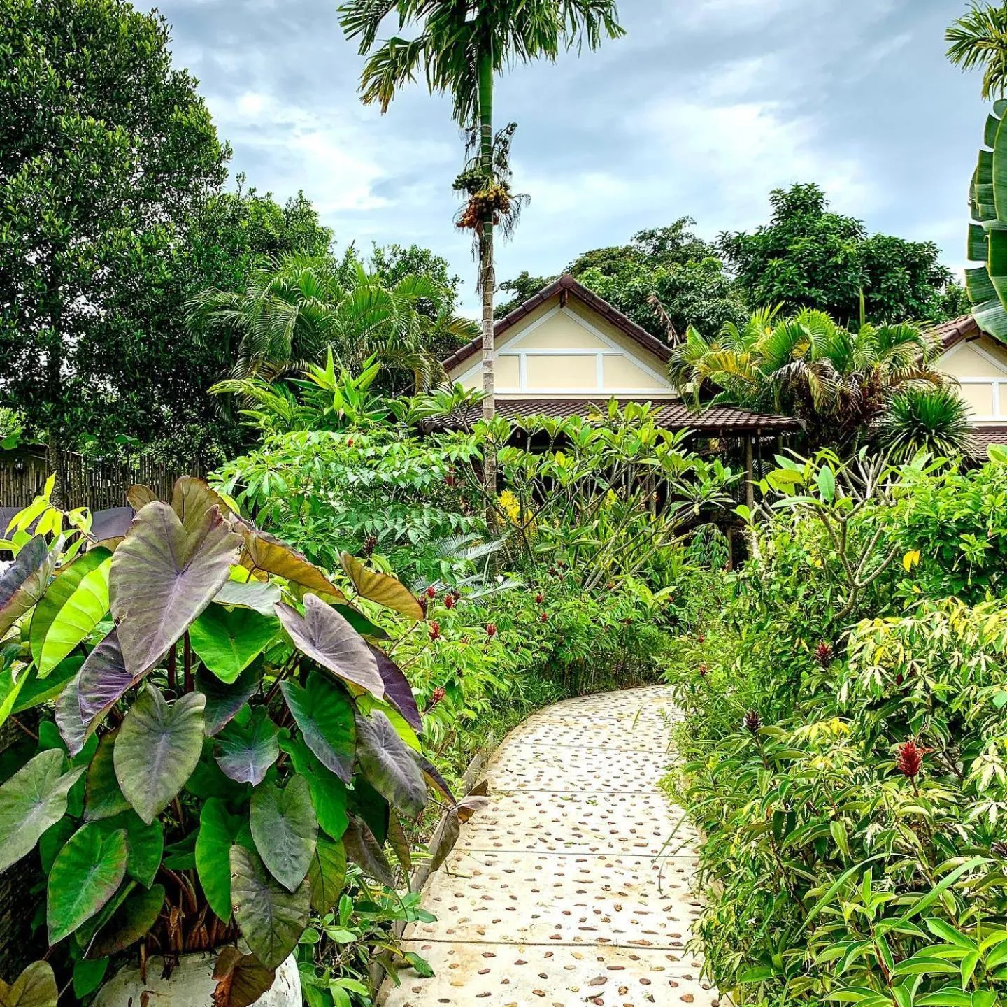 Garden in Atmaland Resort