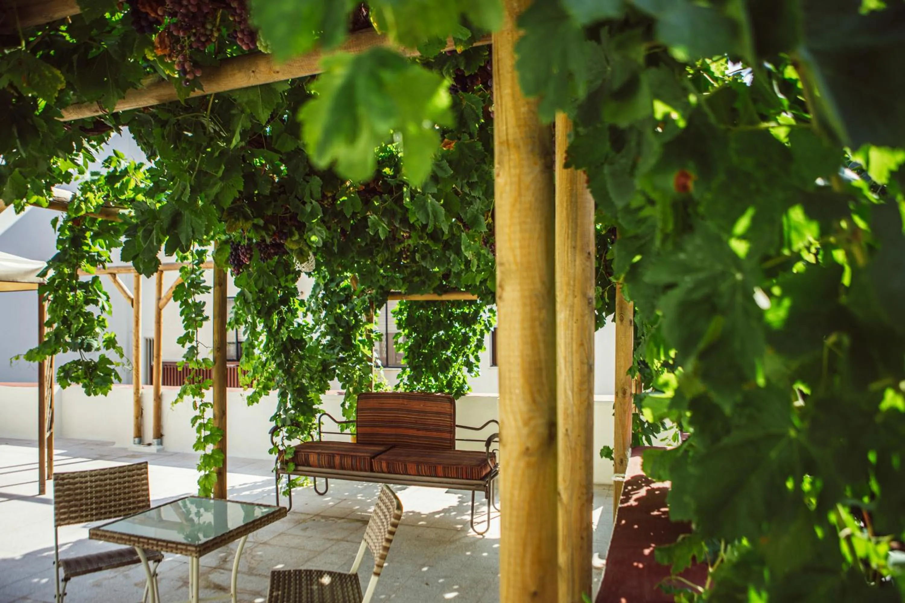 Patio in Casa Duconte