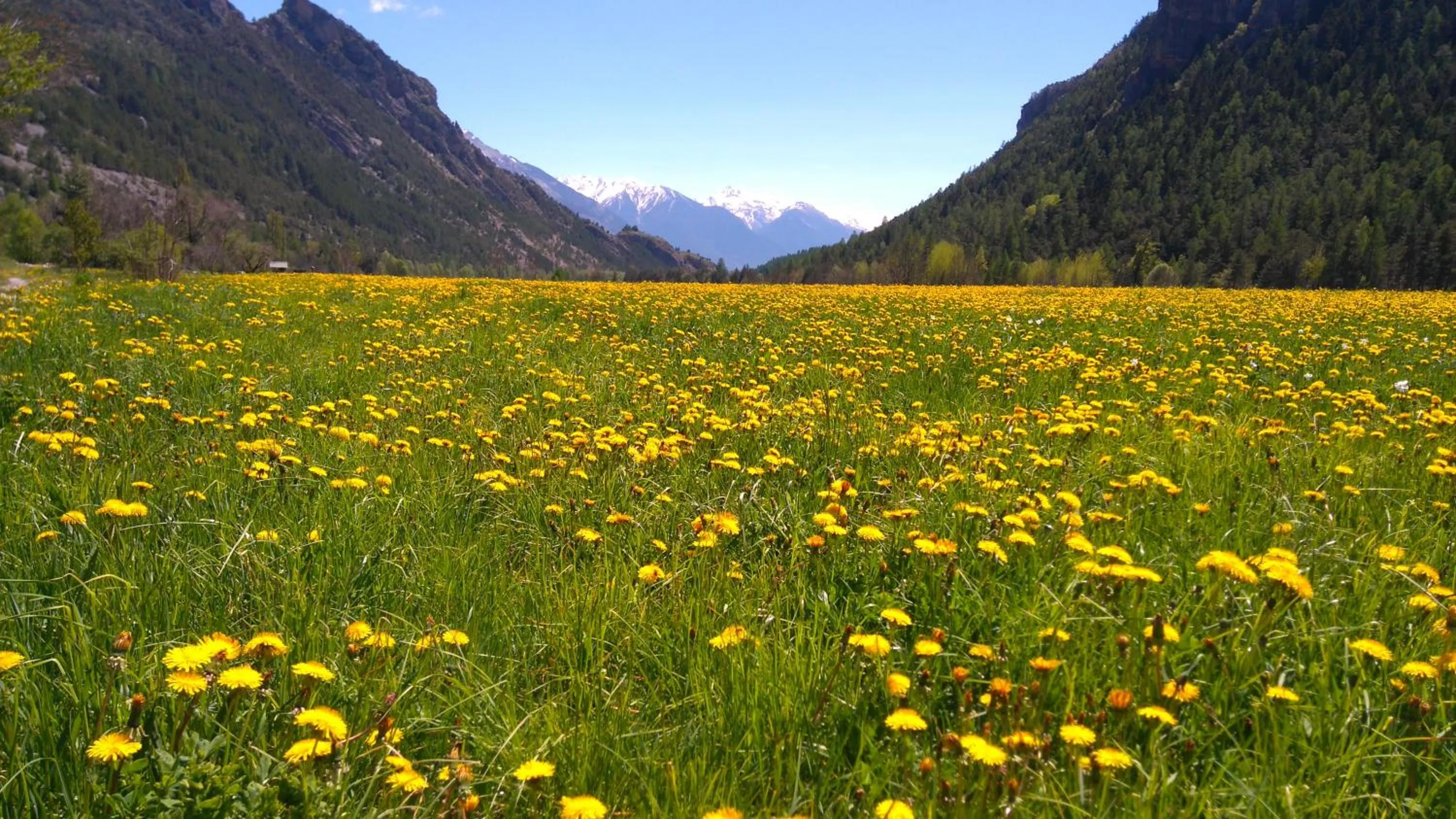 Spring in Hôtel Restaurant Gîtes Les 5 Saisons