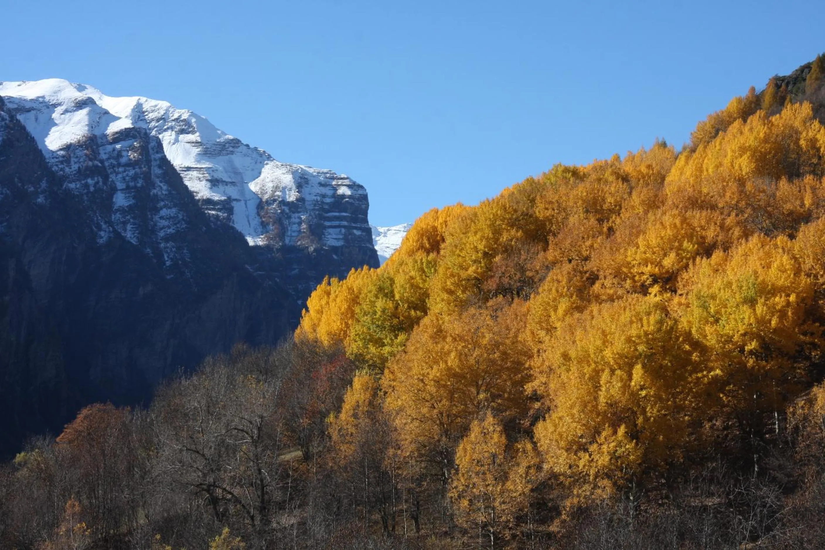 Neighbourhood in Hôtel Restaurant Gîtes Les 5 Saisons