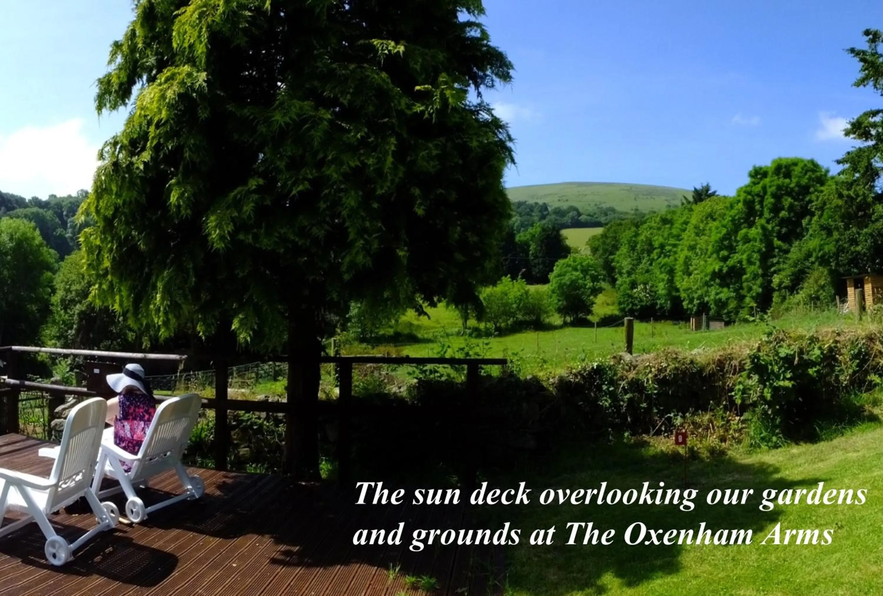 Garden in The Oxenham Arms Hotel Devon