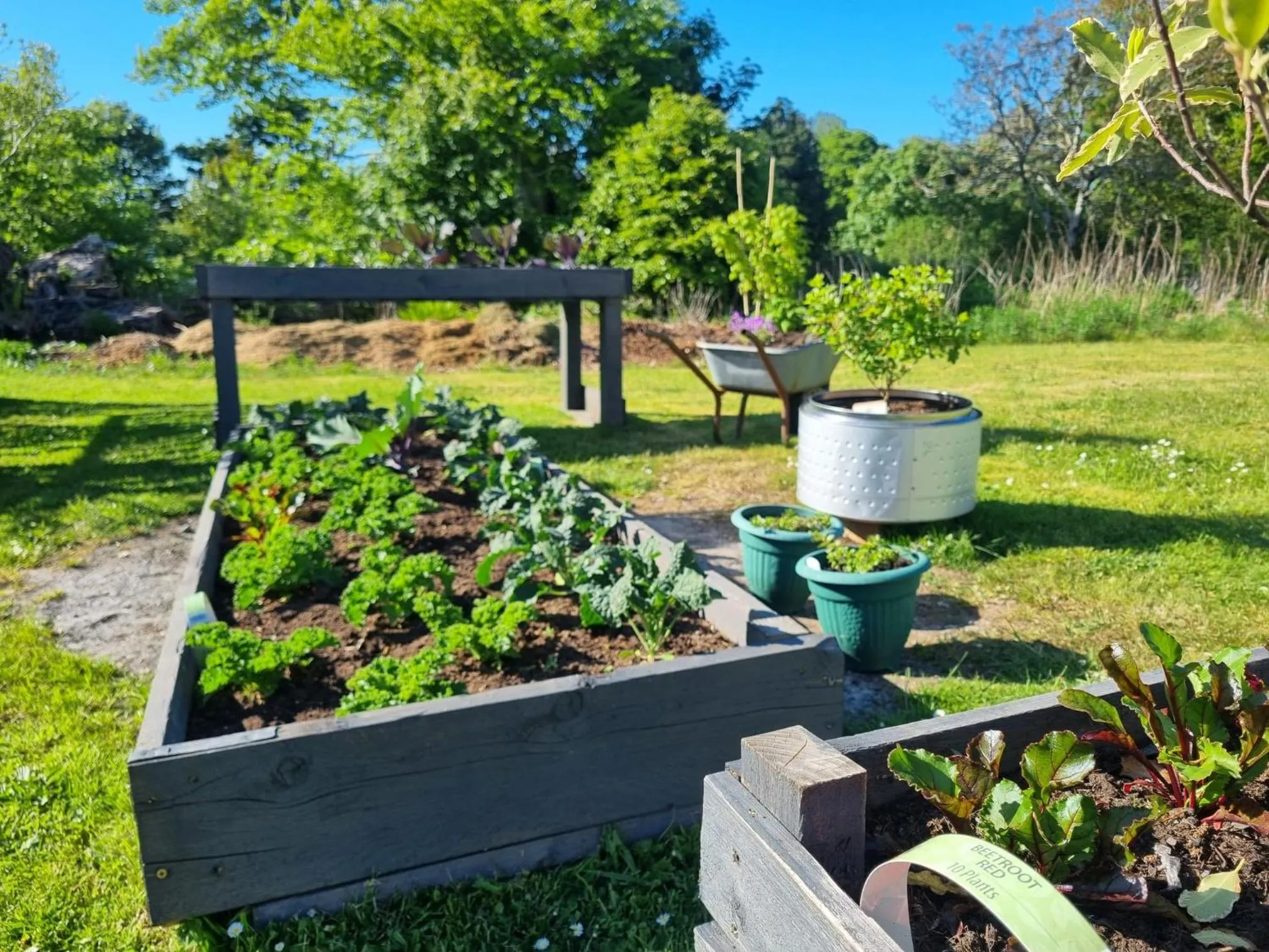 Garden in Broadford Hotel