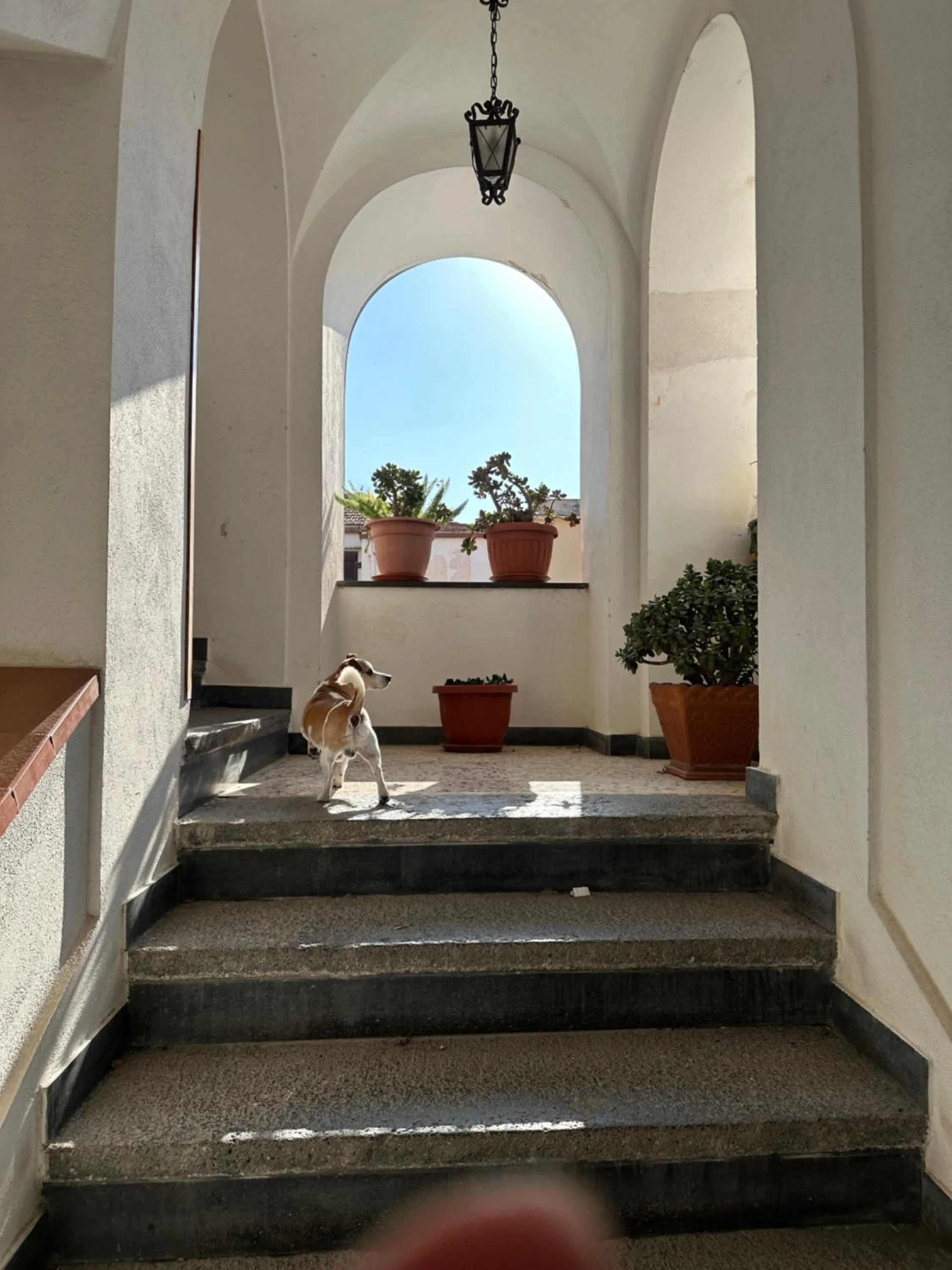 Property building in B&B FRAI