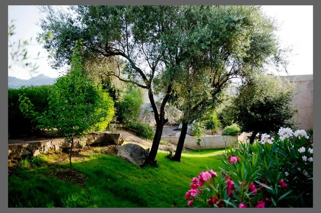 Garden in Hôtel Funtana Marina