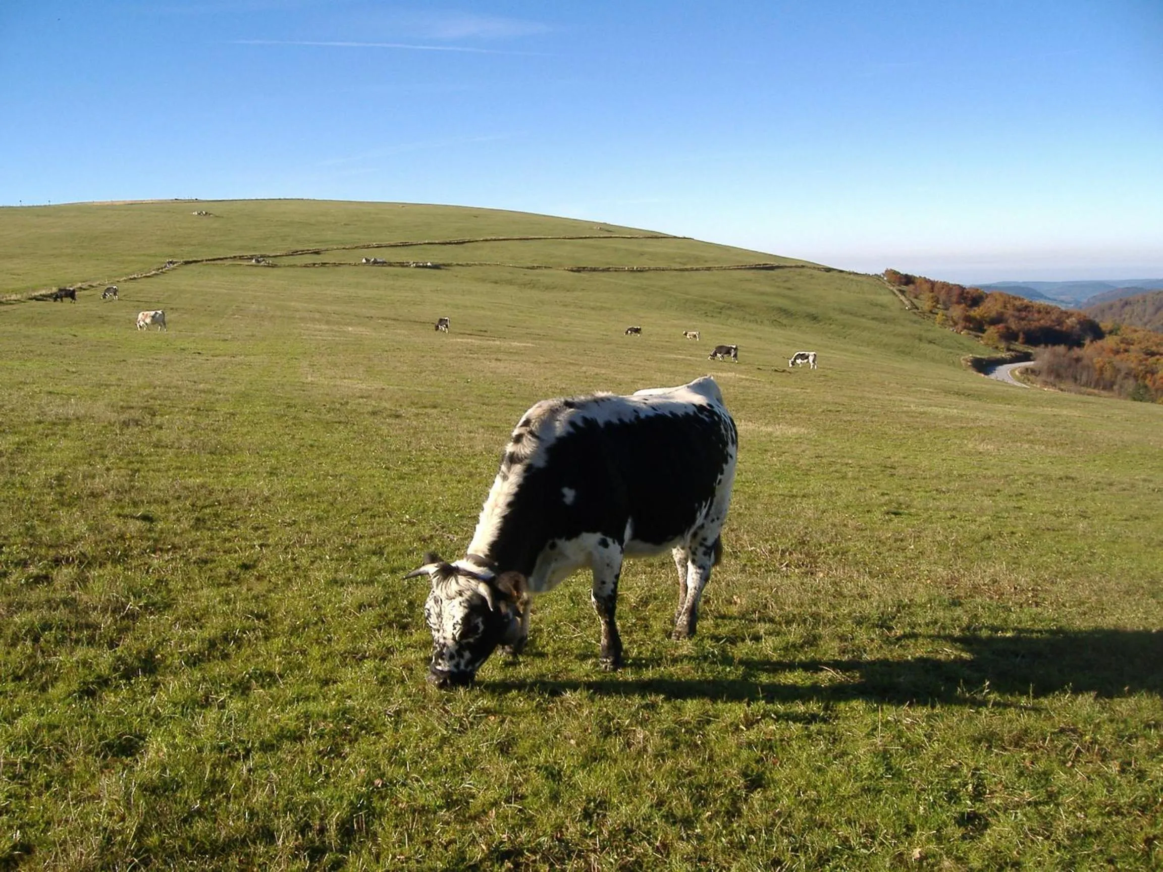 Other in Camping Base de Loisirs du Lac de la Moselotte