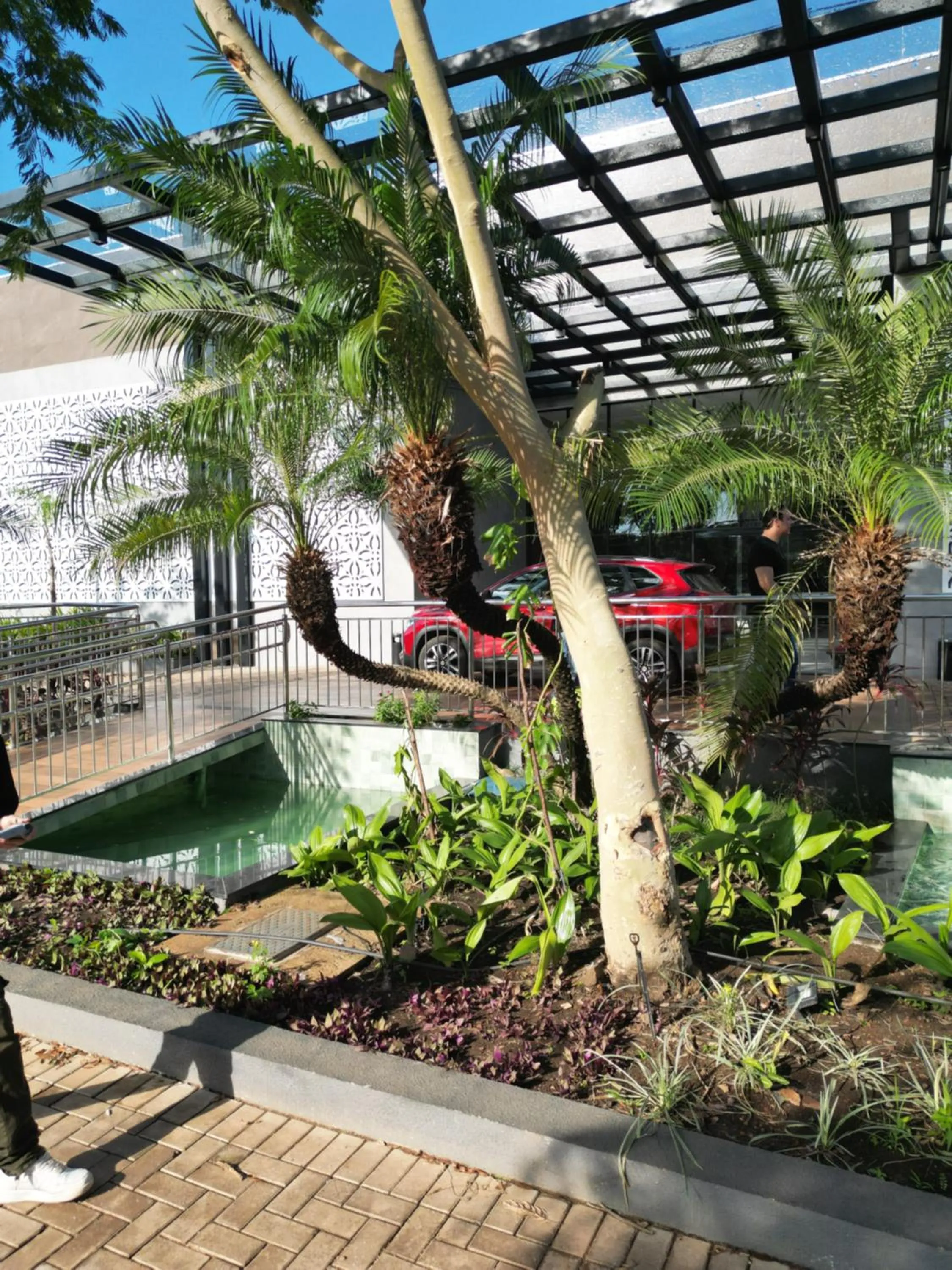 Facade/entrance in Hotel Girassol Plaza