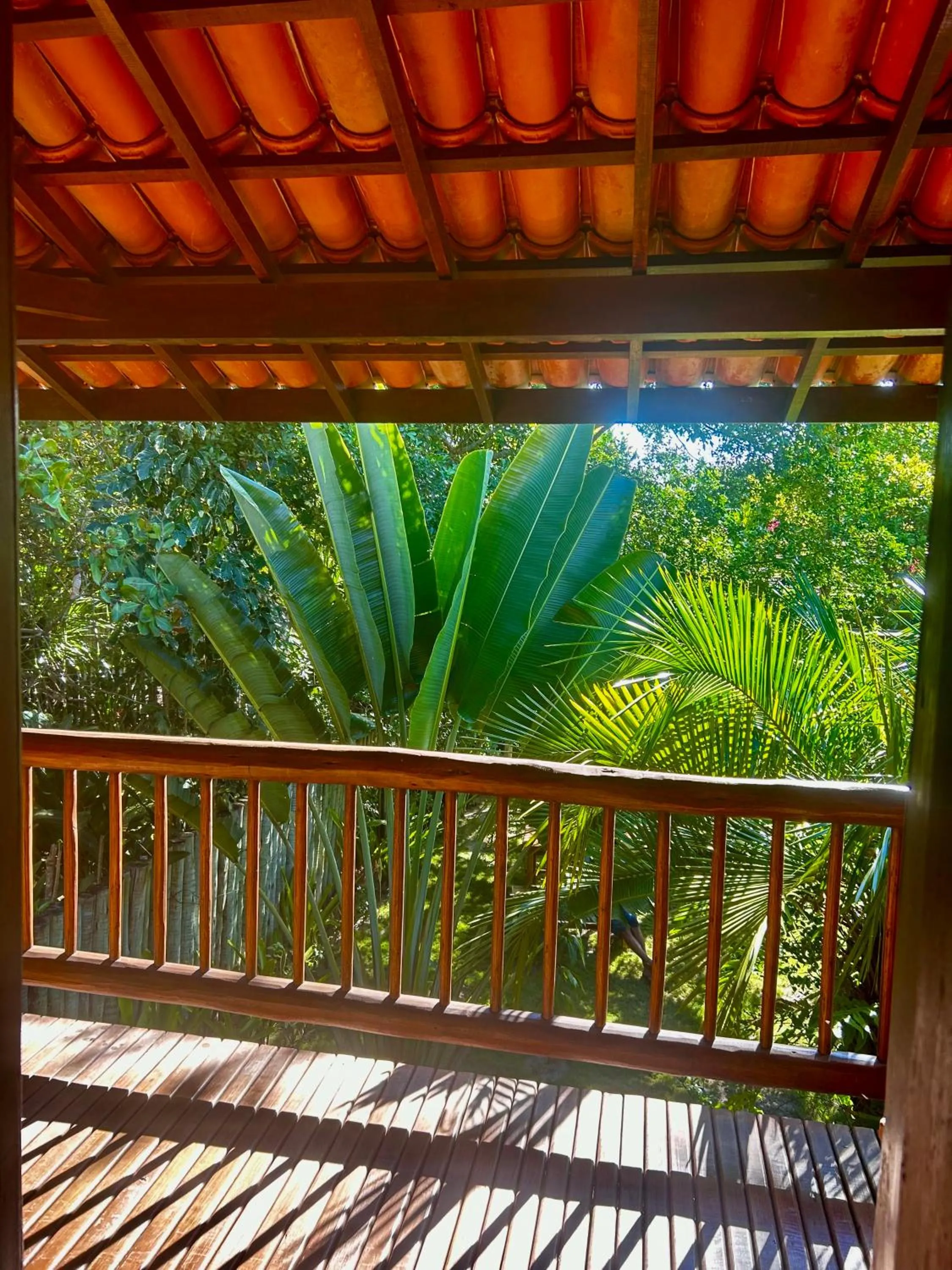 Garden in Pousada Habitat Caraíva