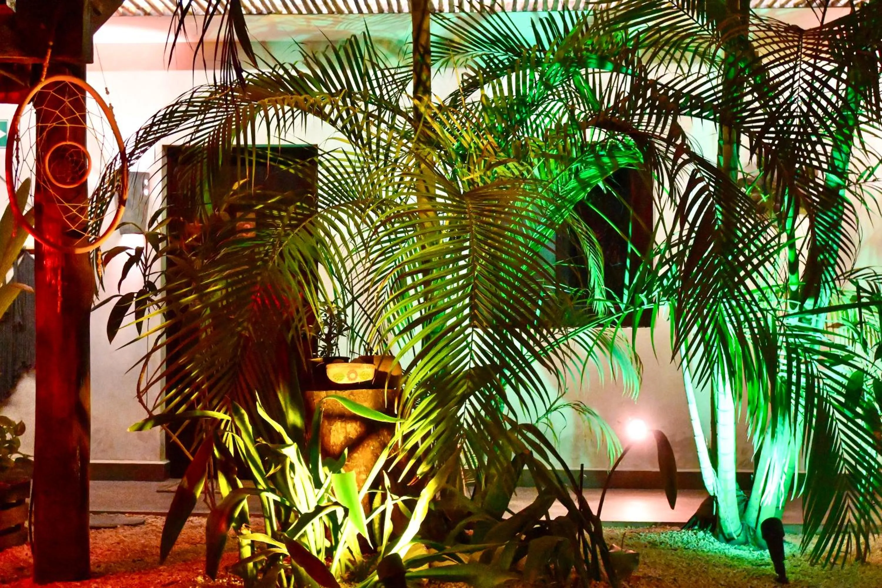 View (from property/room) in Pacha Tulum Boutique Hotel