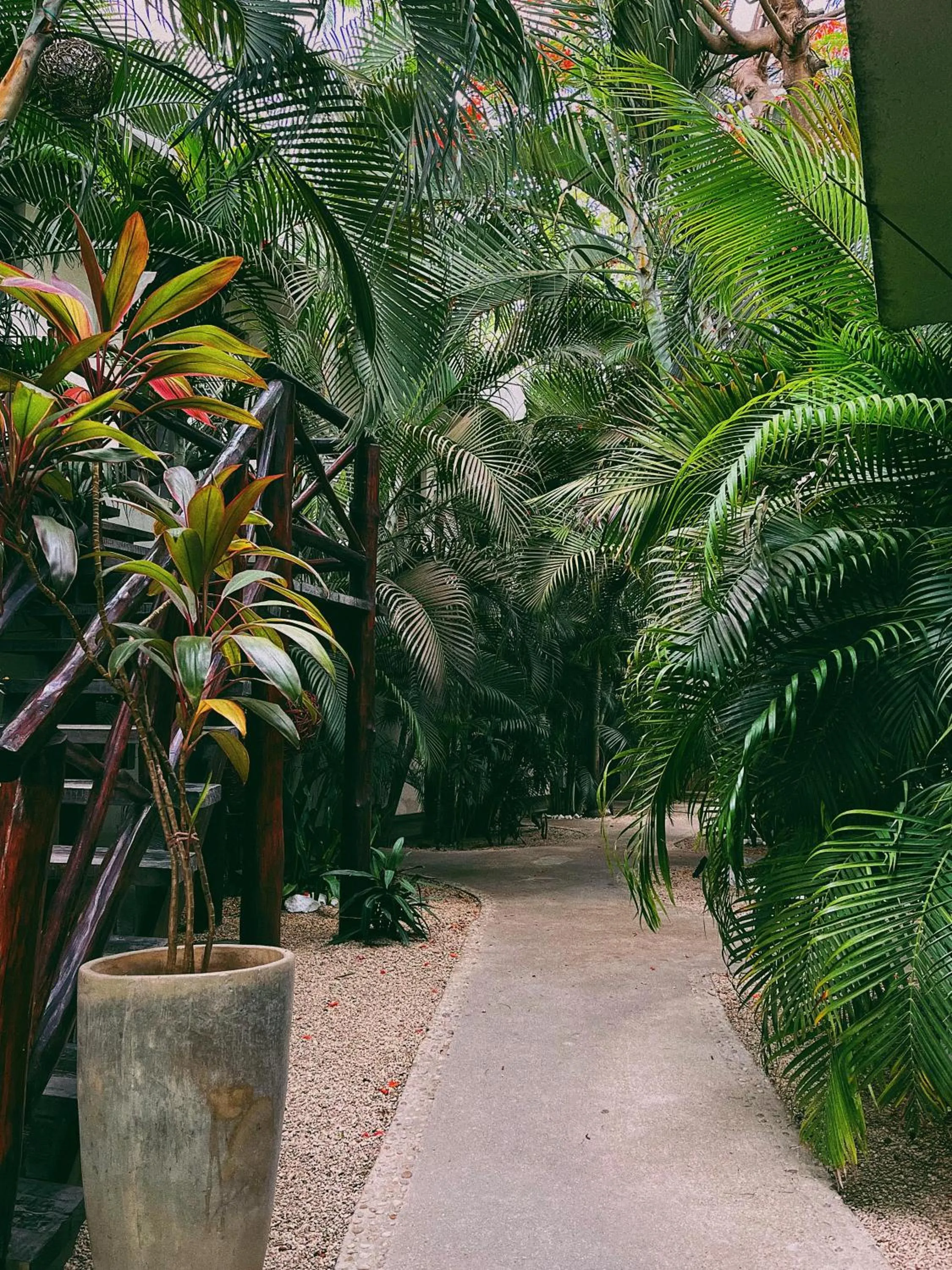 Garden in Pacha Tulum Boutique Hotel