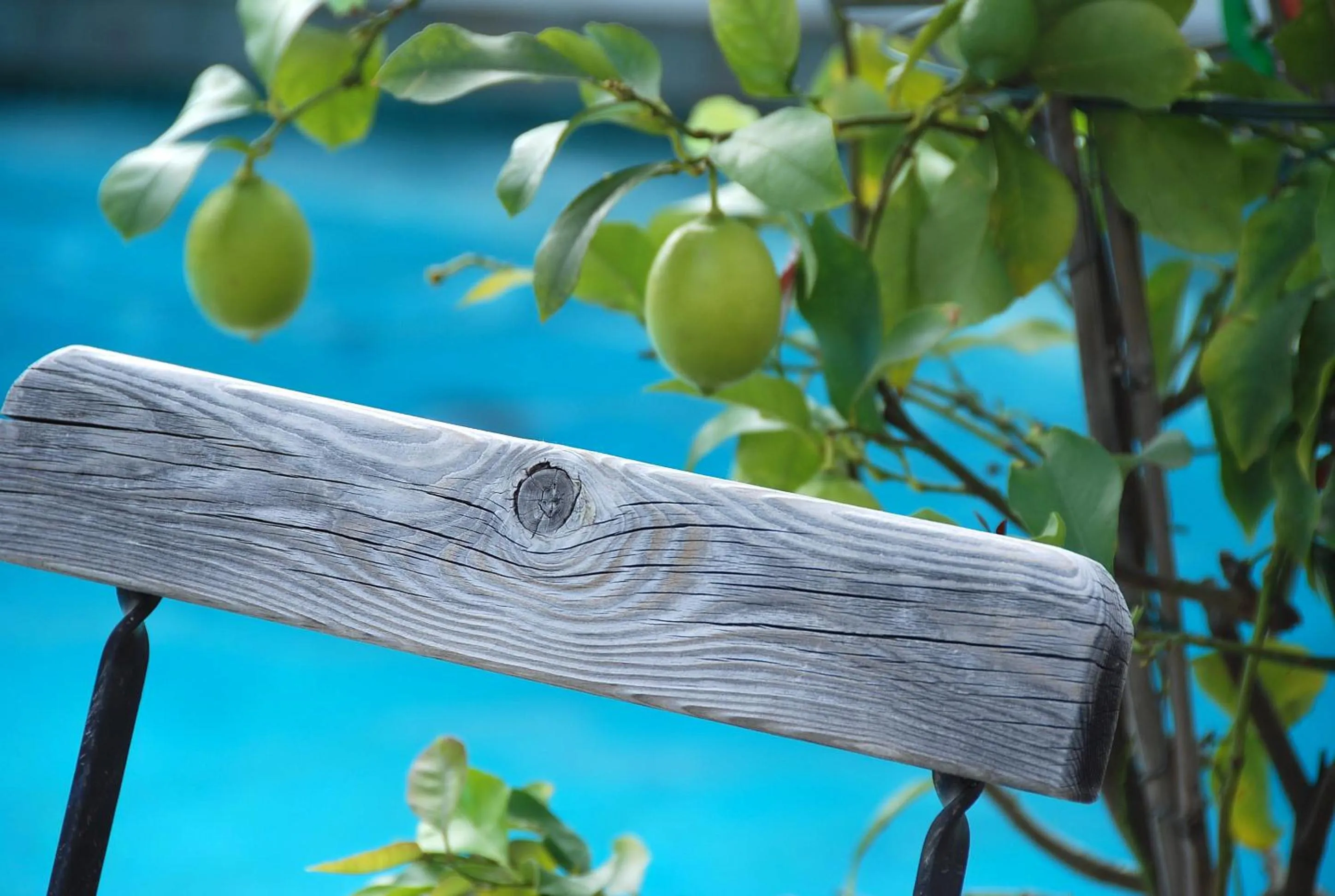 Garden in Hotel - Appartements Schmied Hans